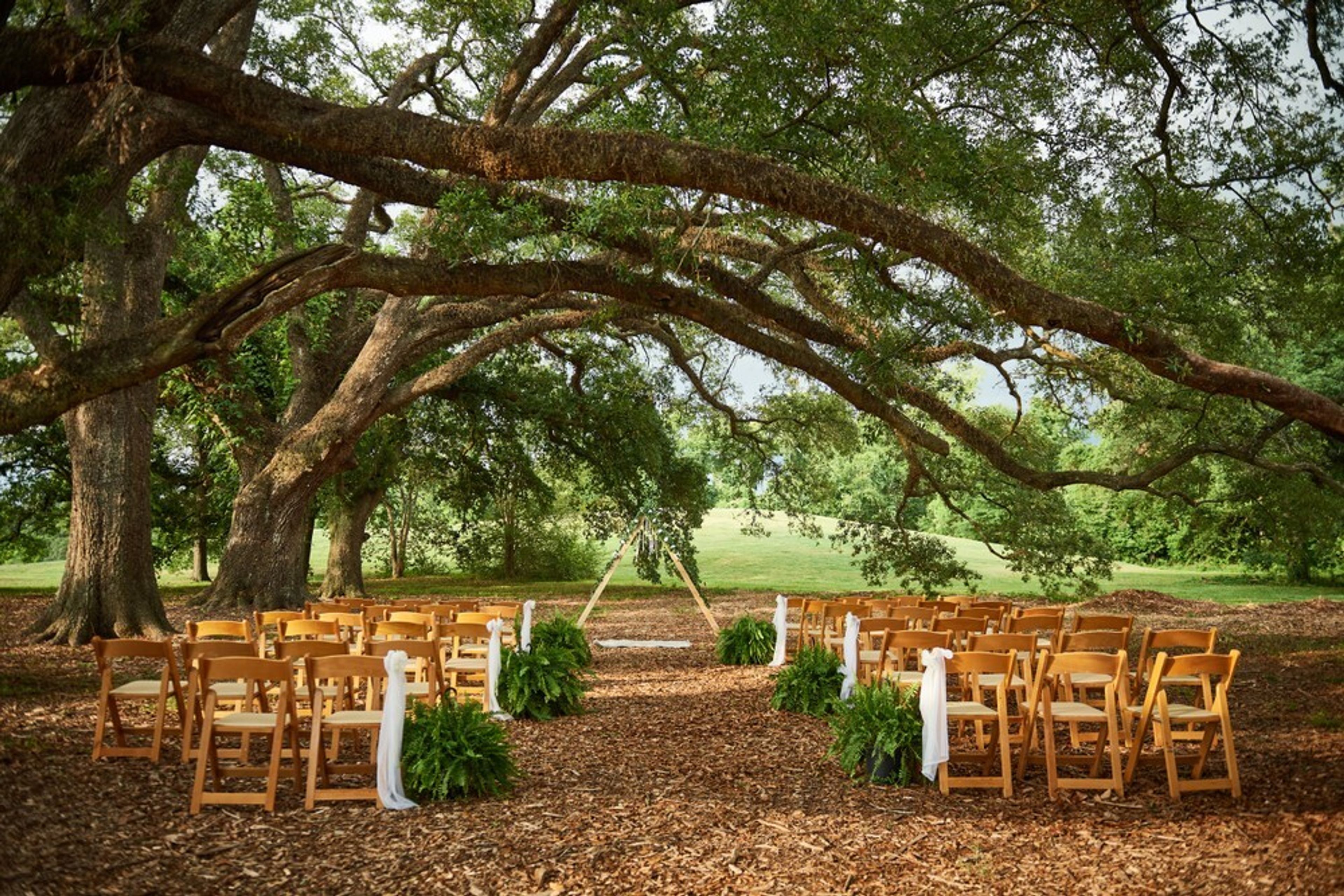 Cover photo of Moncus Park