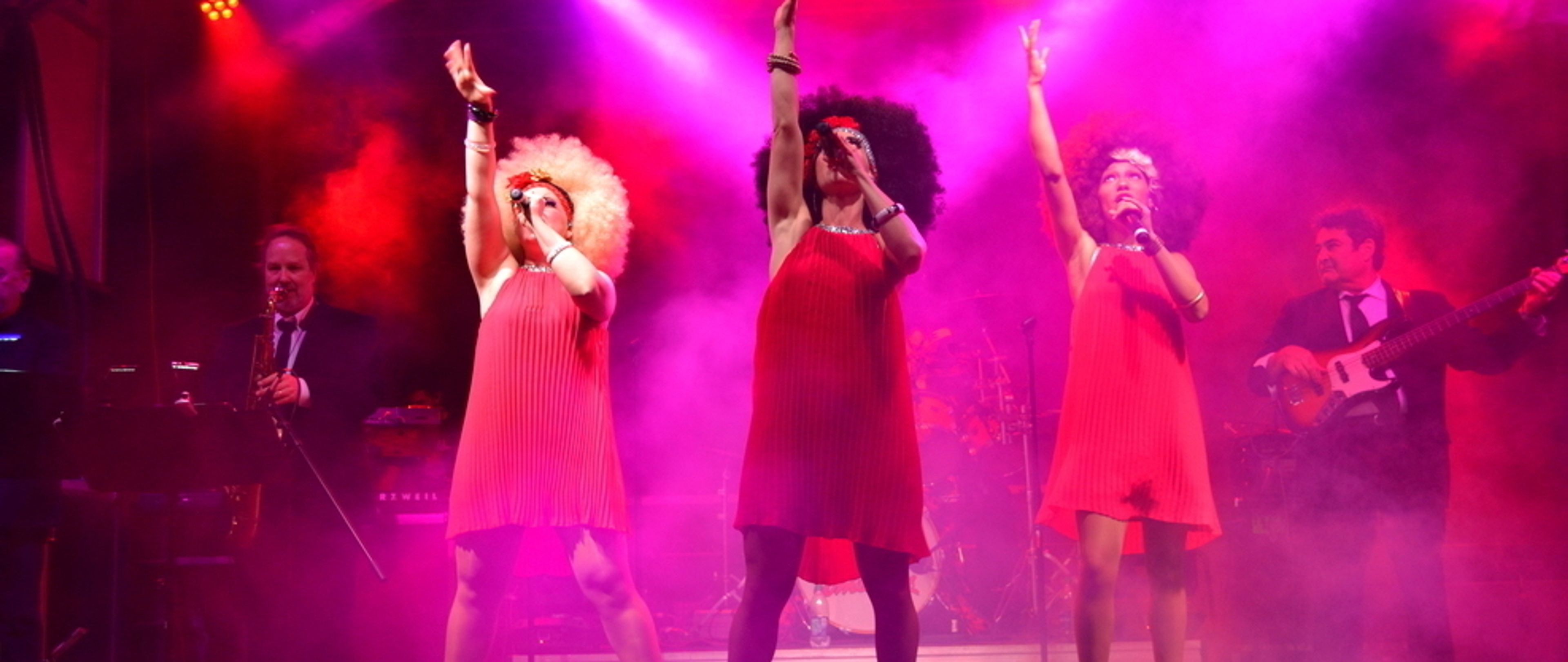 Cover photo of Rotel And The Hot Tomatoes