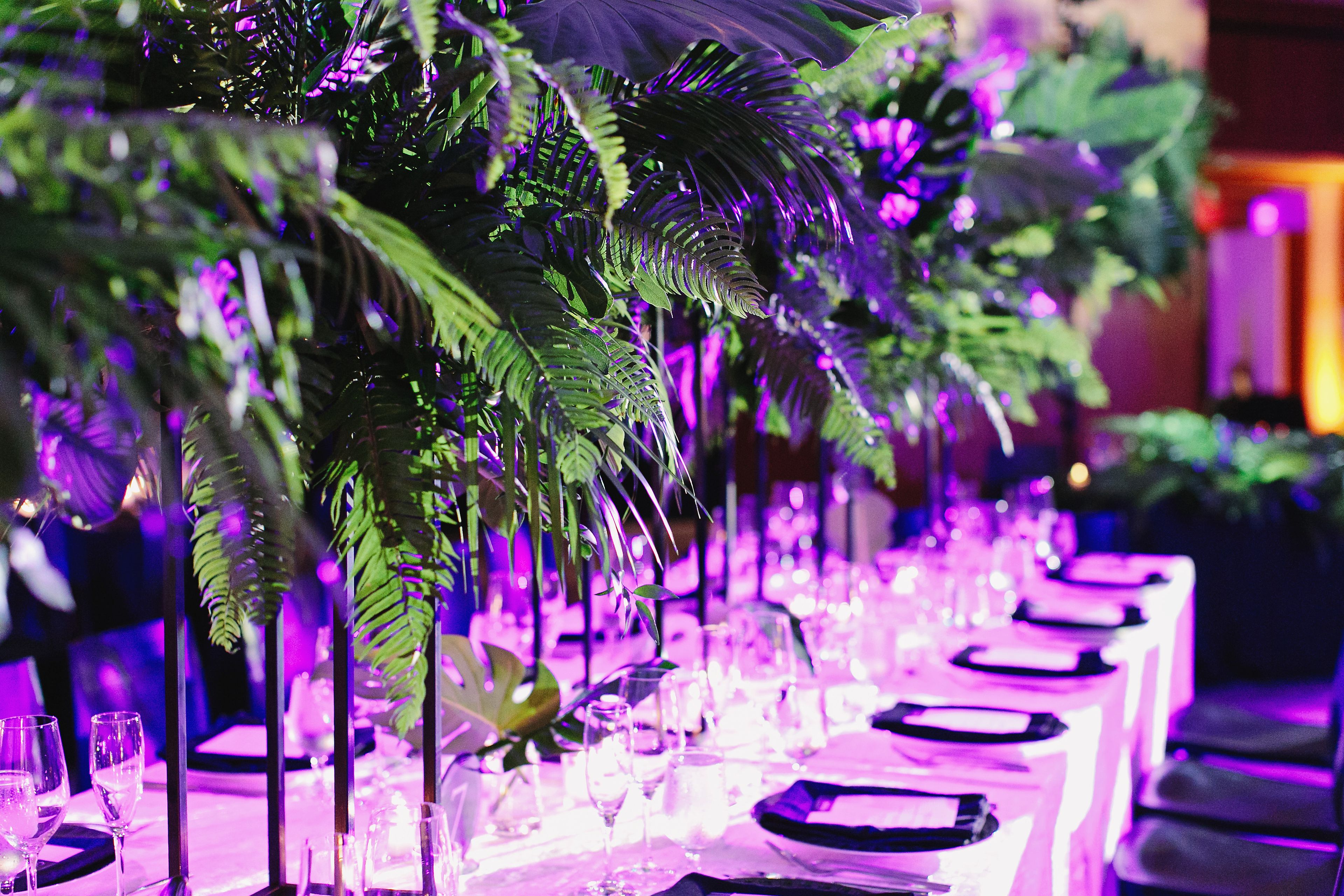 Cover photo of PARTY PLANZ PRODUCTIONS