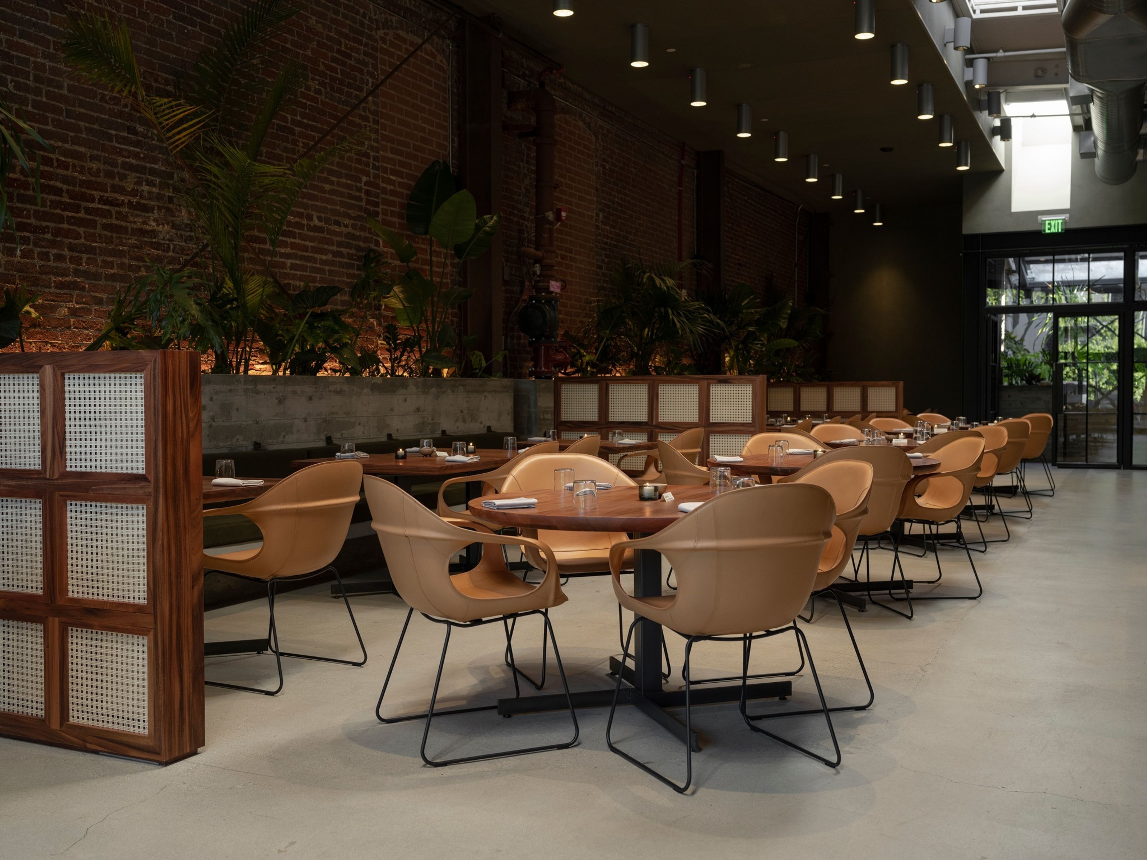 Cover photo of Damian