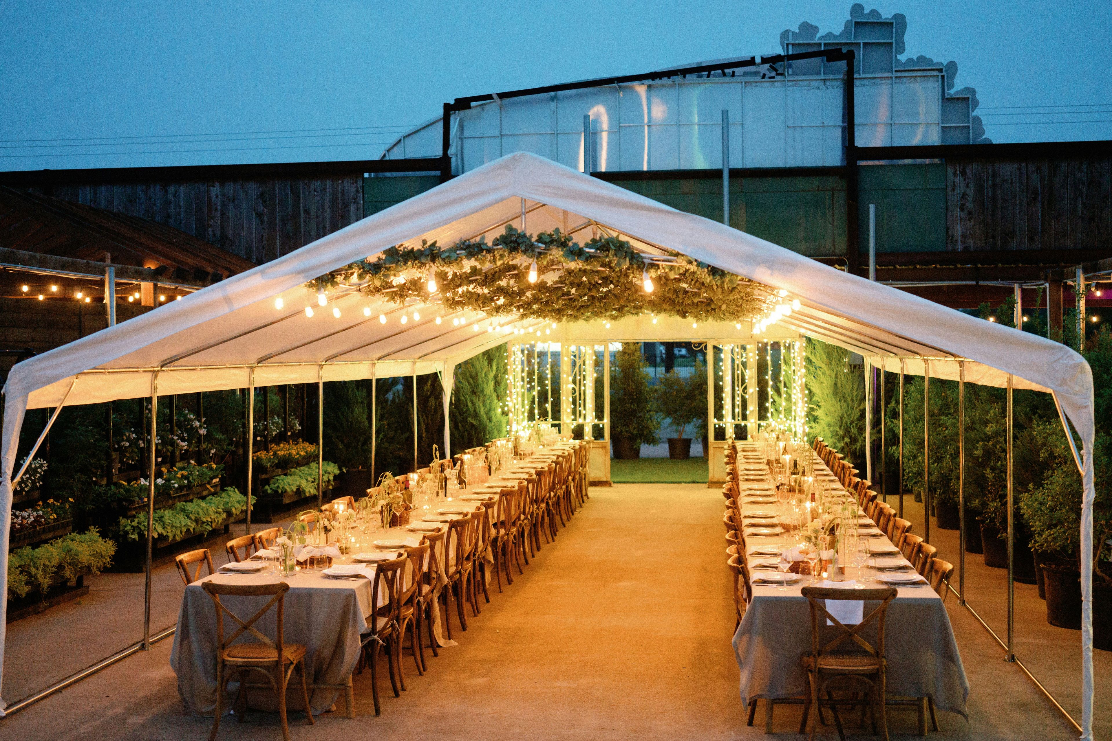 Cover photo of Knife and Faulk