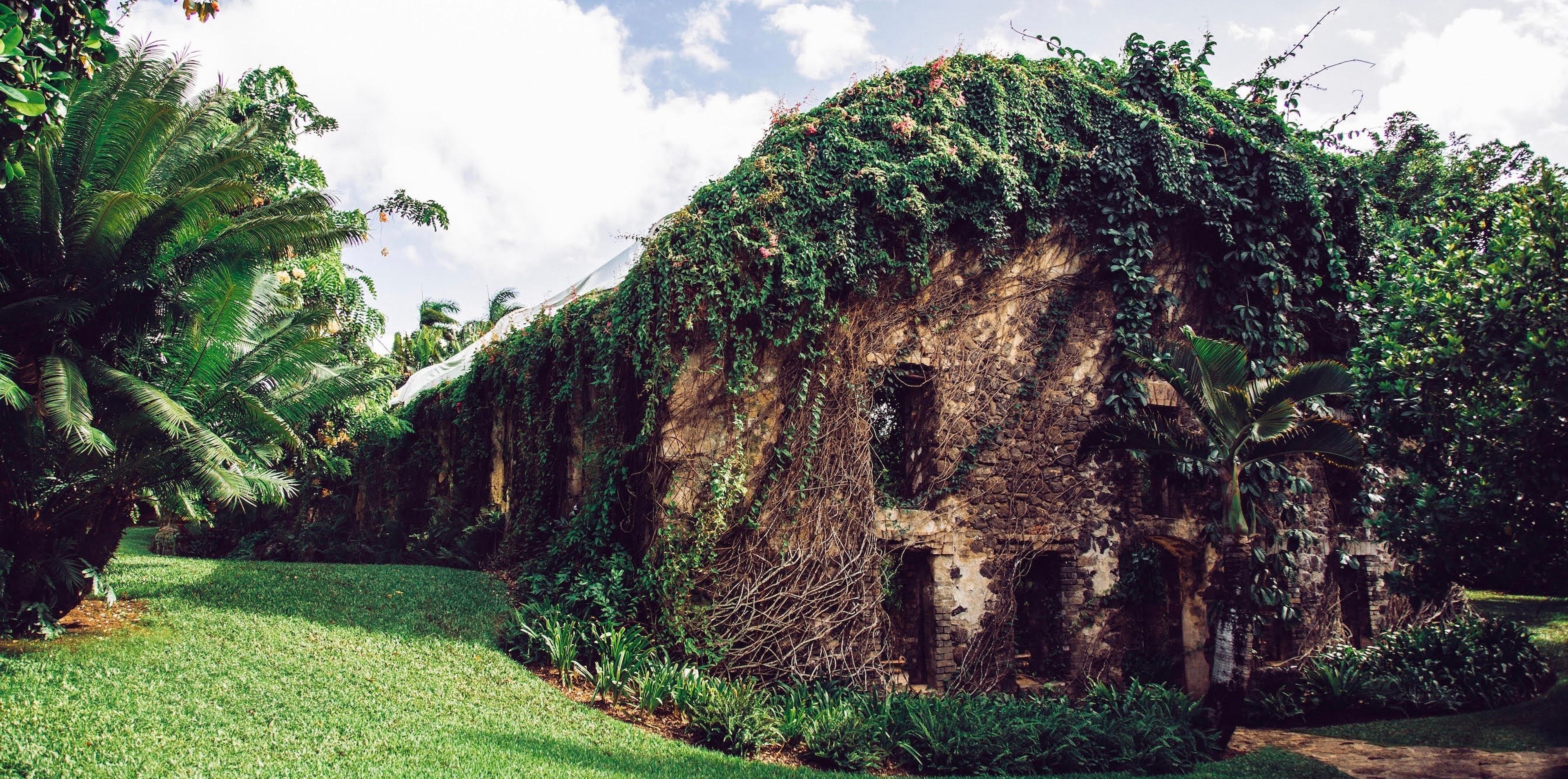 Cover photo of Haiku Mill