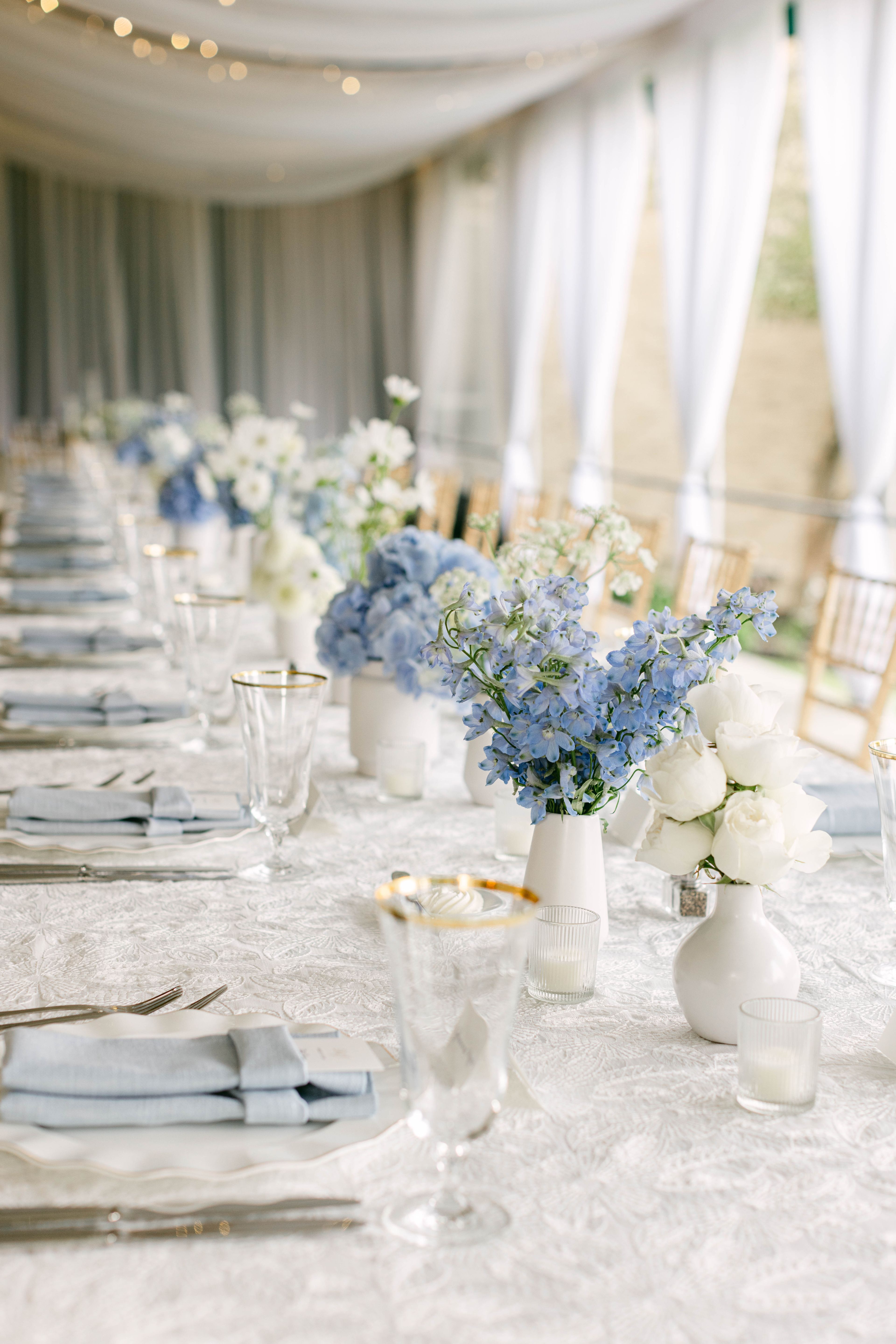 Cover photo of Petal and Wren