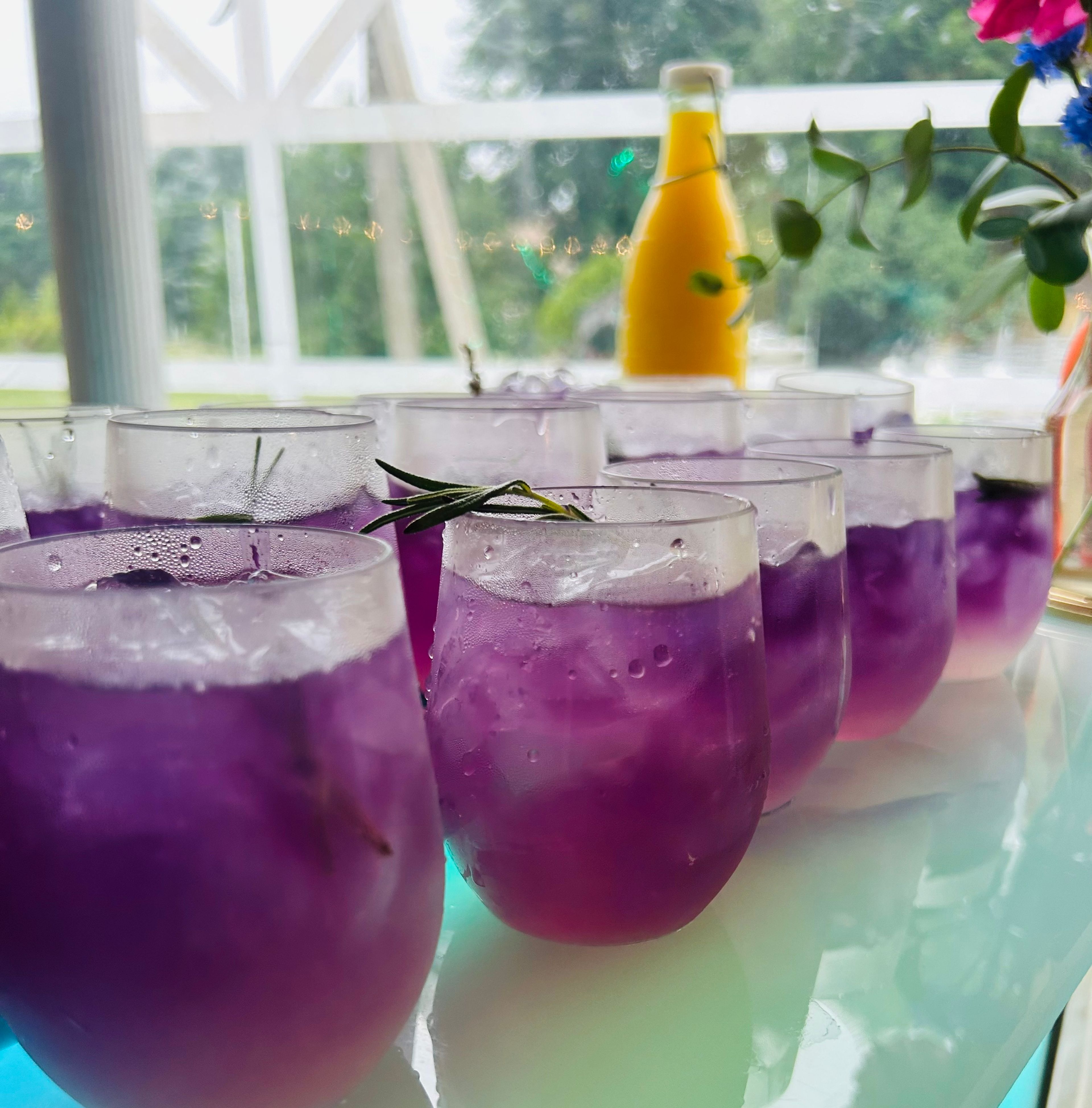 Cover photo of couple of bartenders ct