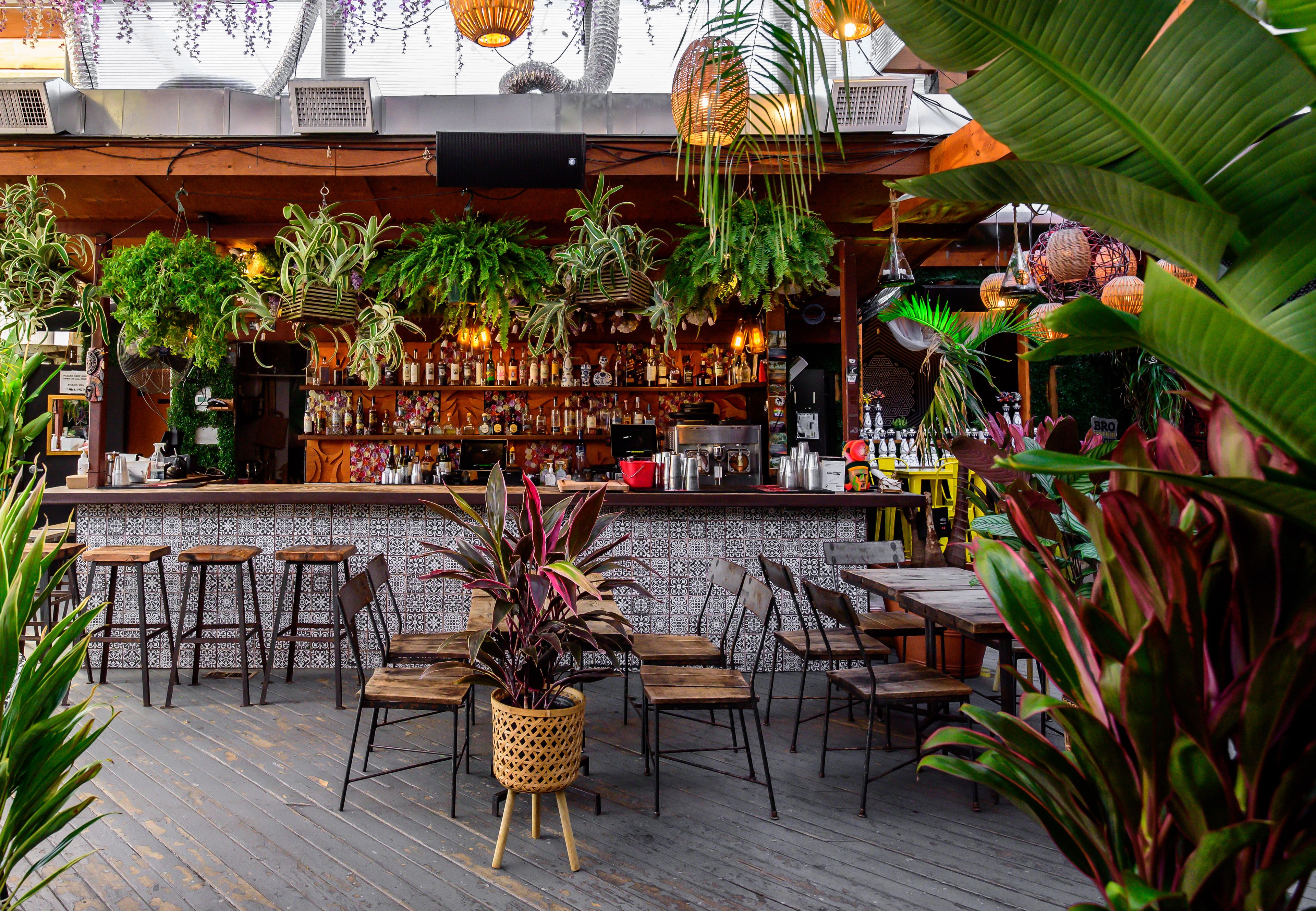 Cover photo of El Techo DC