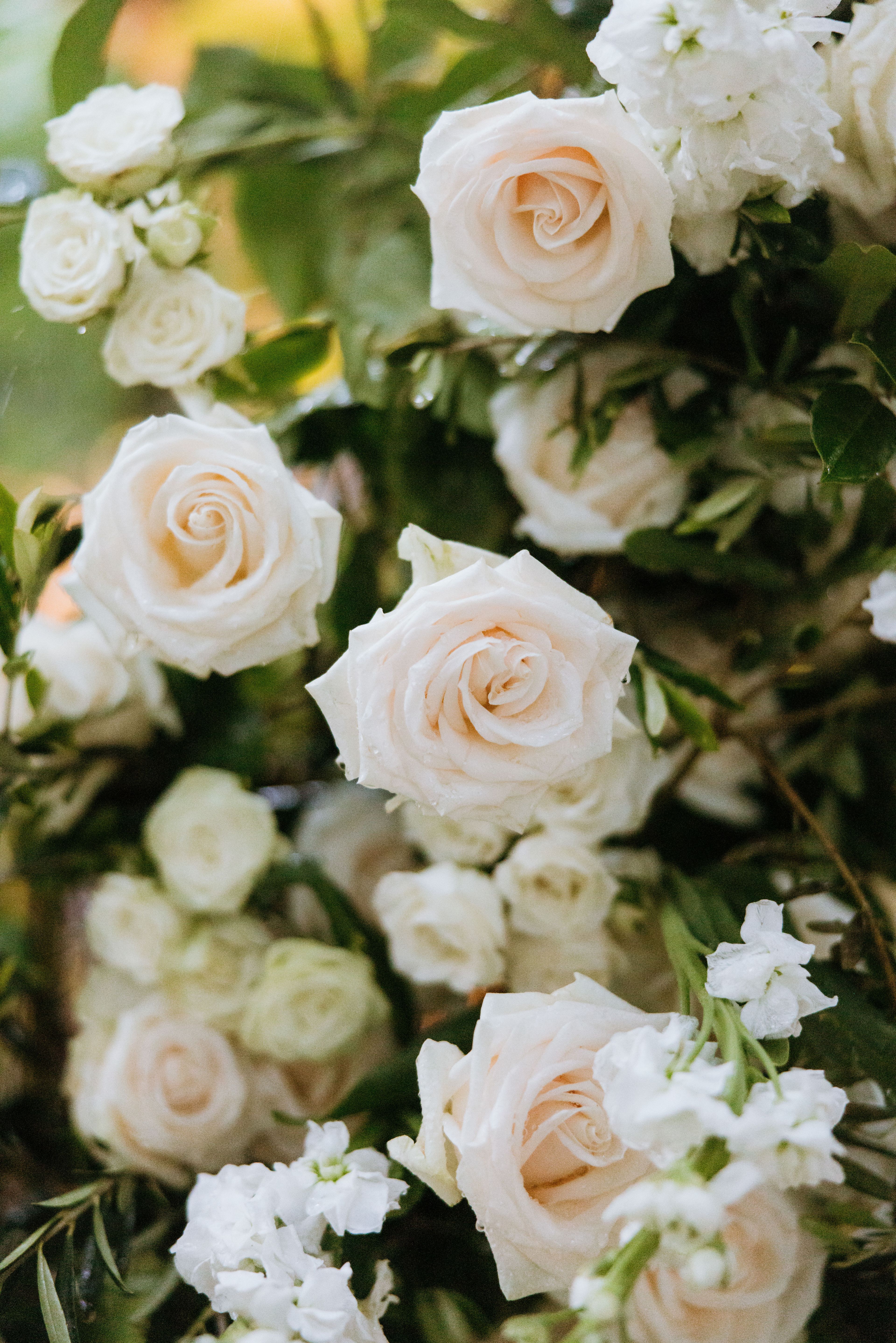 Cover photo of Over The Decades