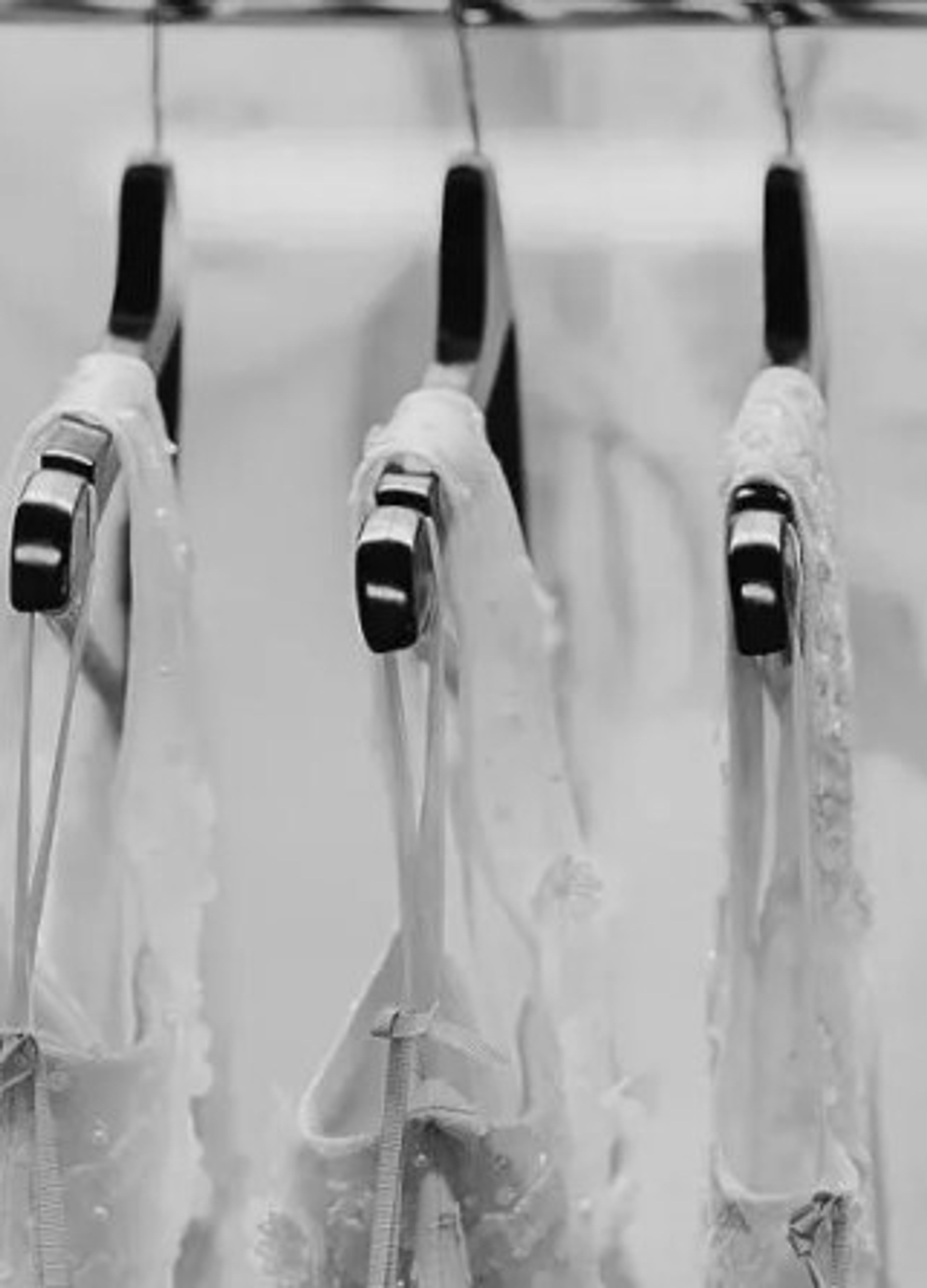 Cover photo of Karen Willis Holmes Sydney