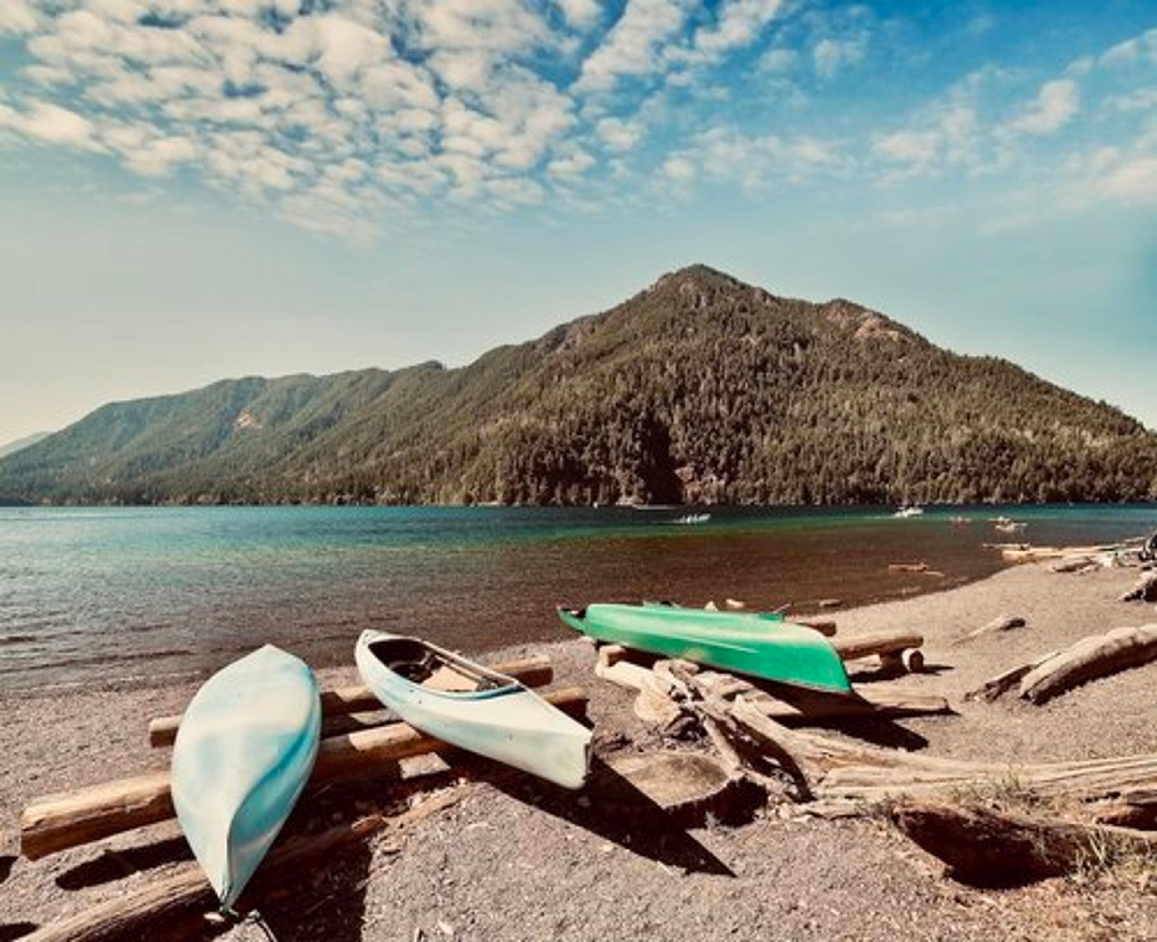 Cover photo of Lochaerie Resort