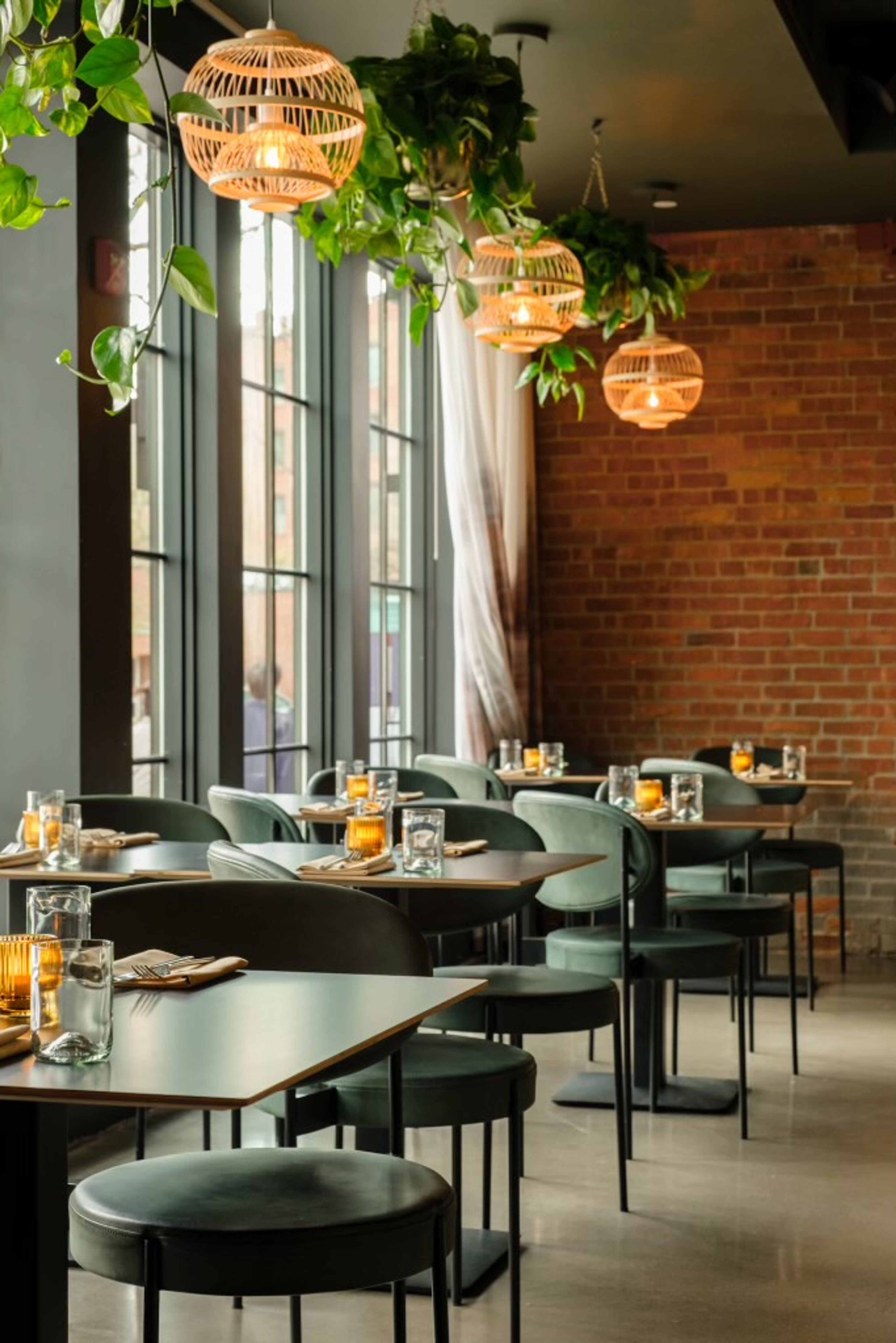 Cover photo of Althea