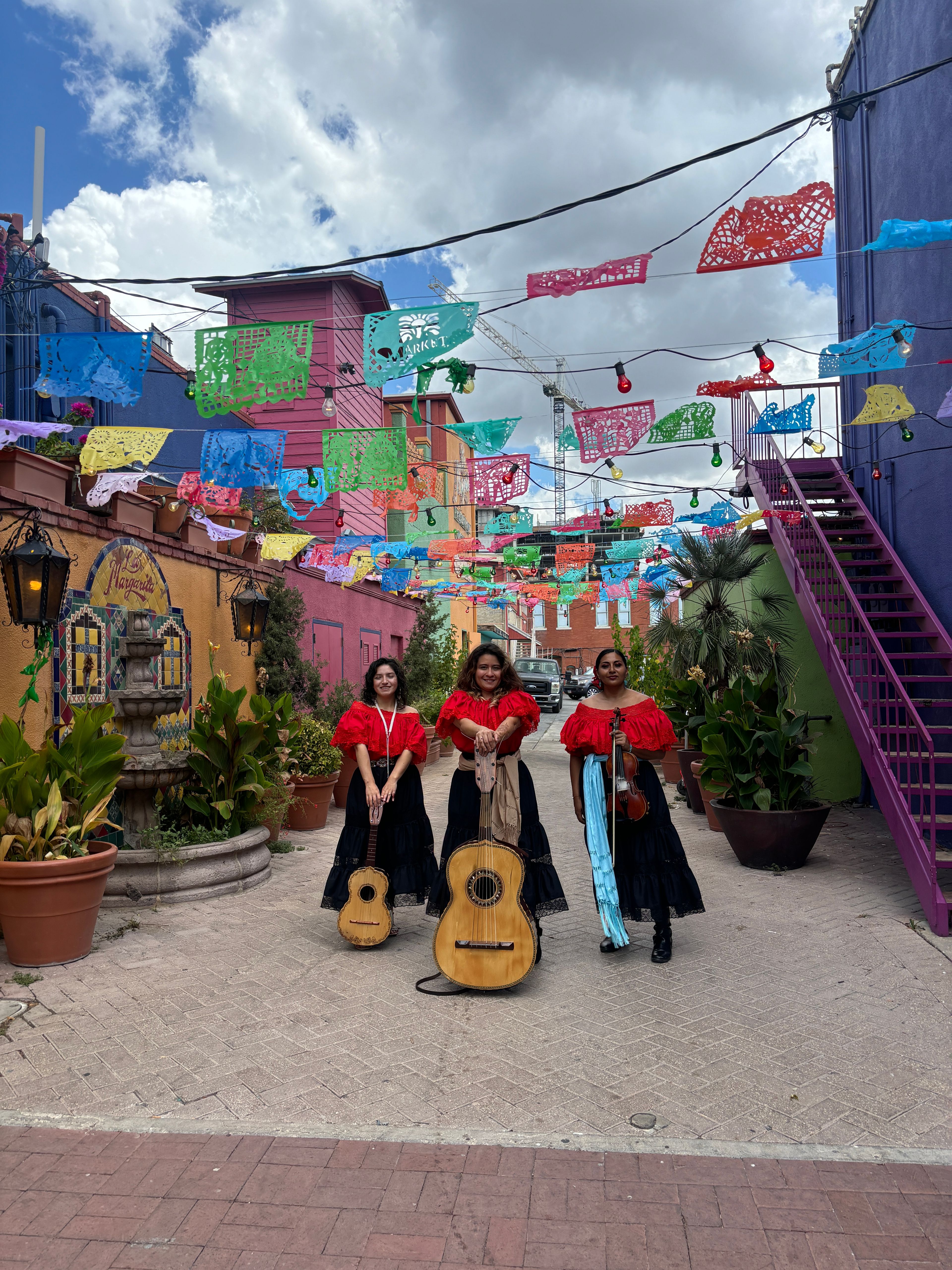 Cover photo of Trio Ardiente