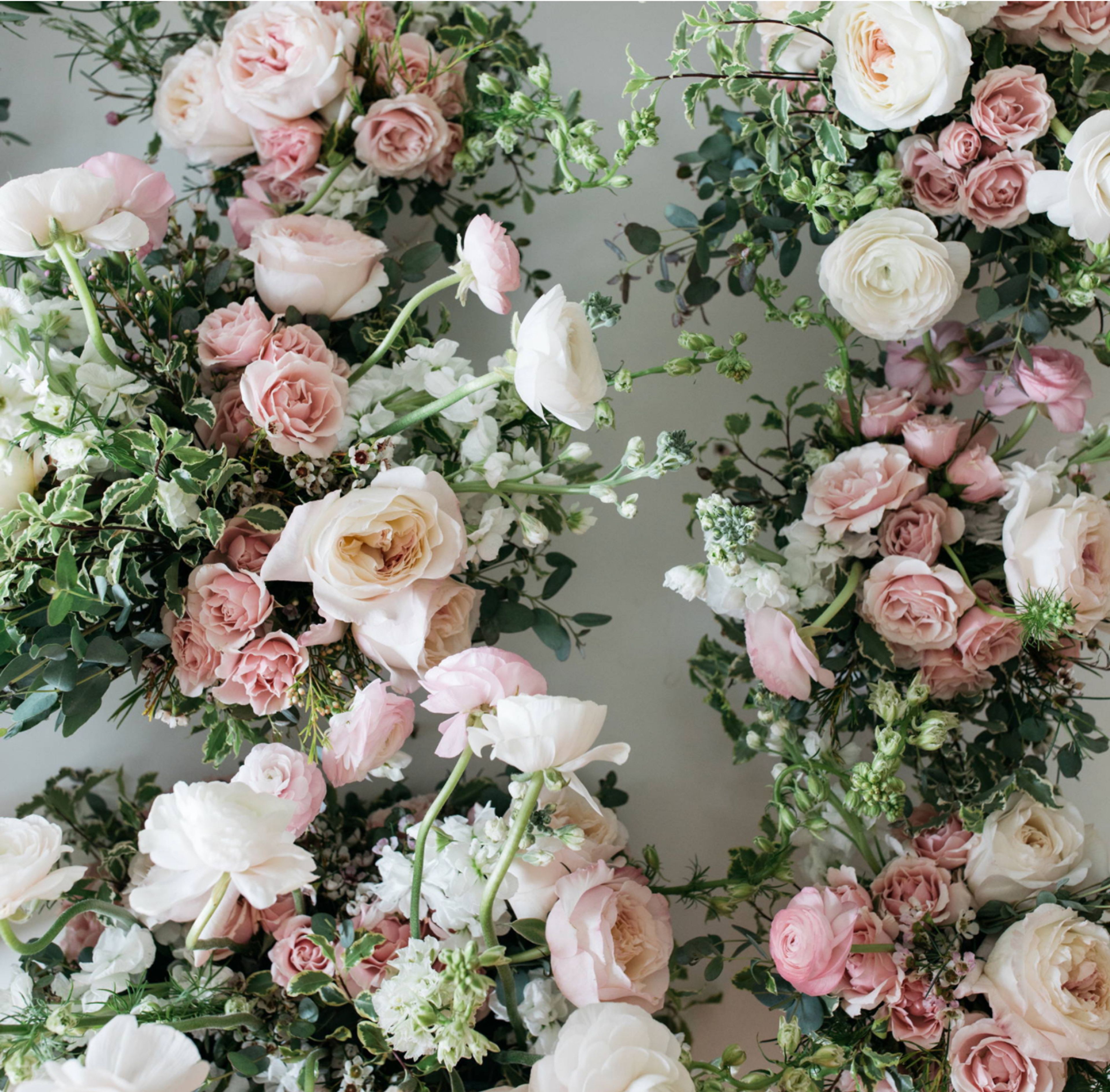 Cover photo of petal and party co