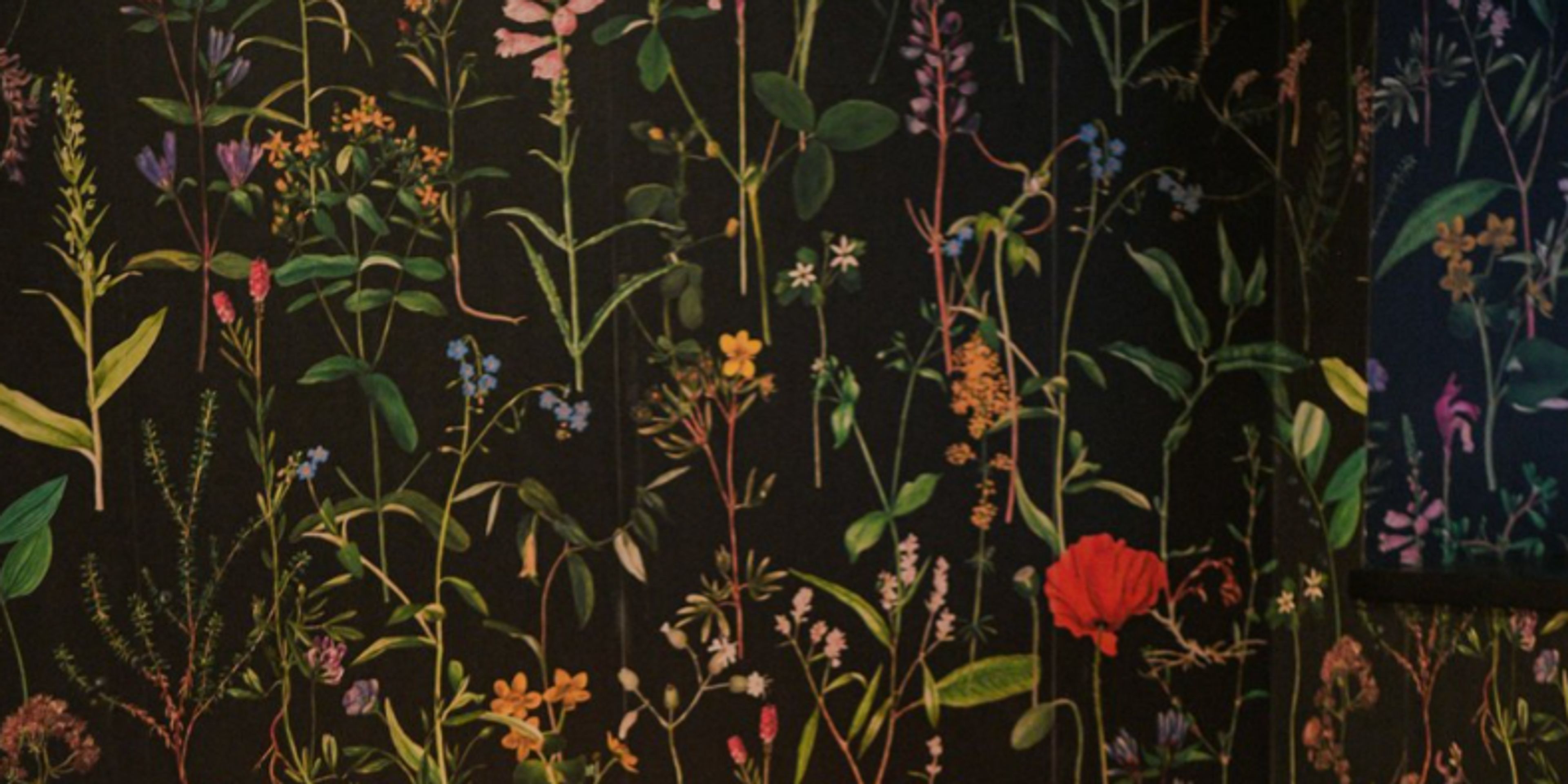 Cover photo of Another Country