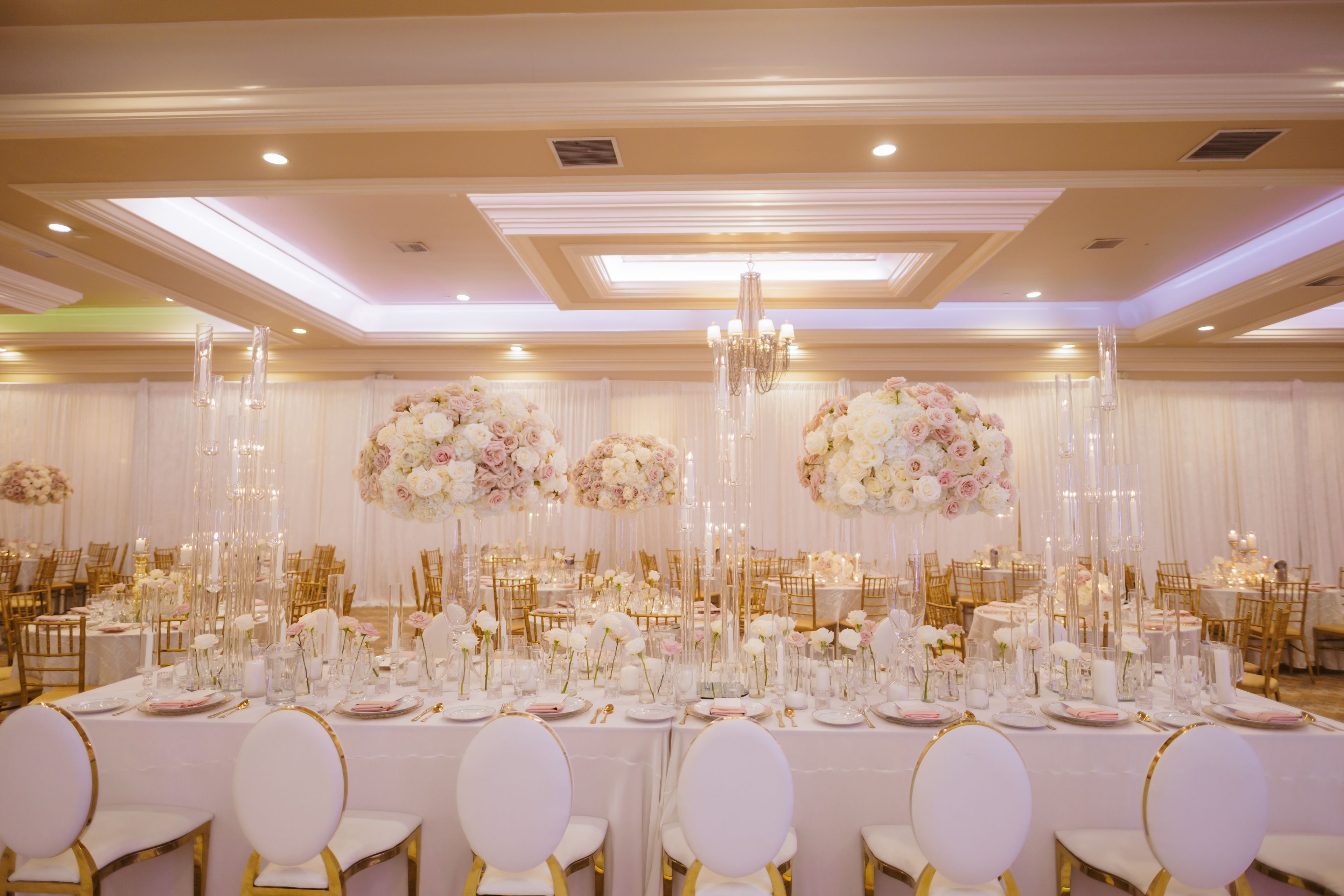 Cover photo of B Anu Events