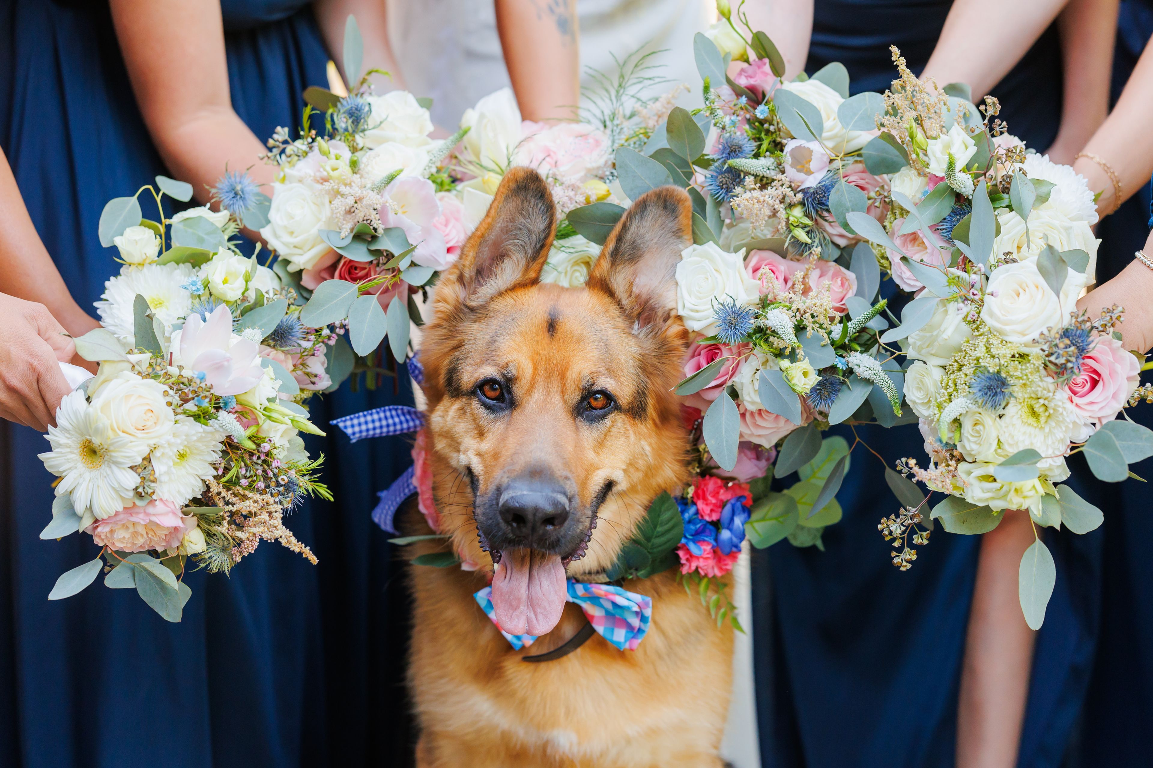 Cover photo of Daphne and Iris Florals
