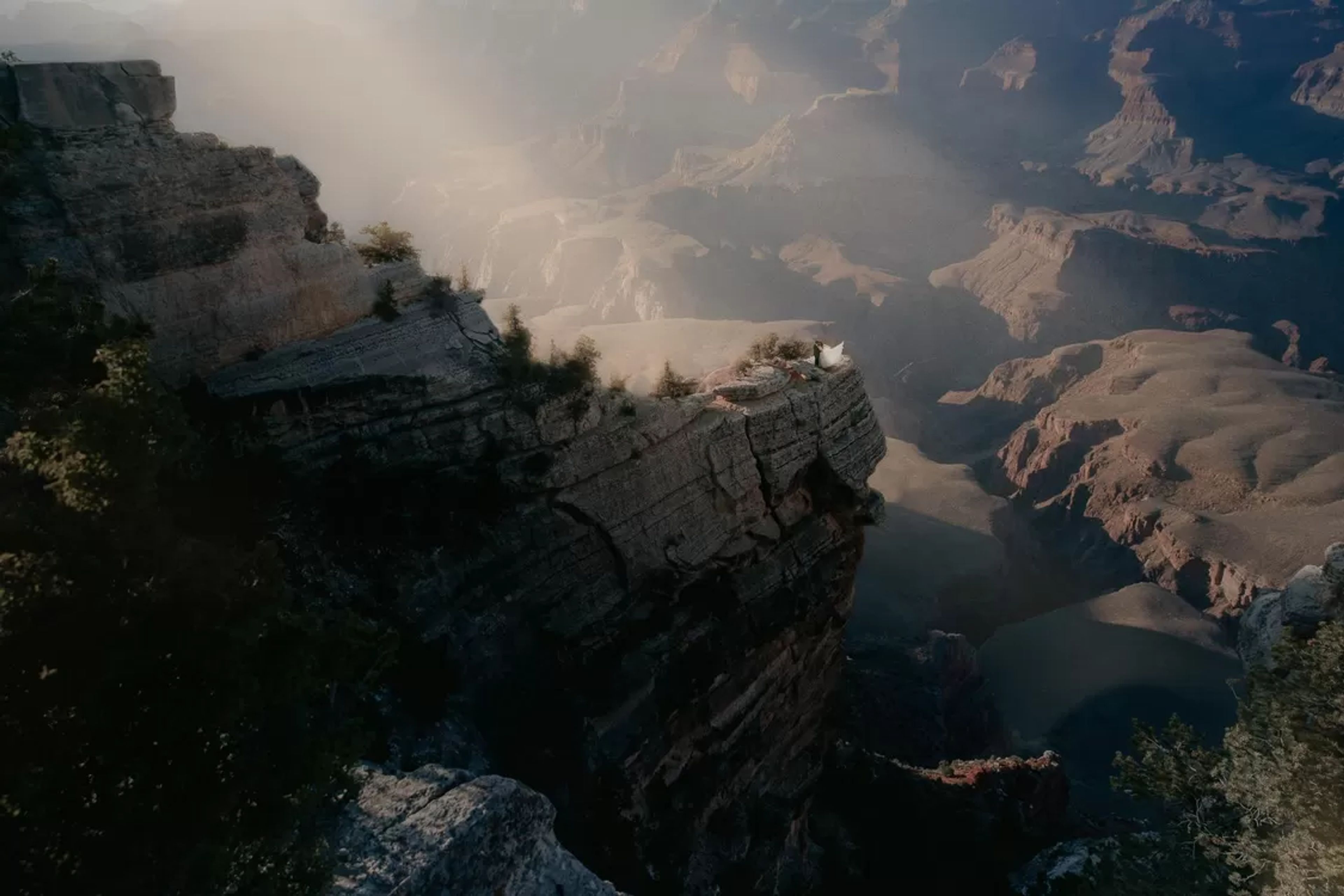 Cover photo of Runaway Photographer