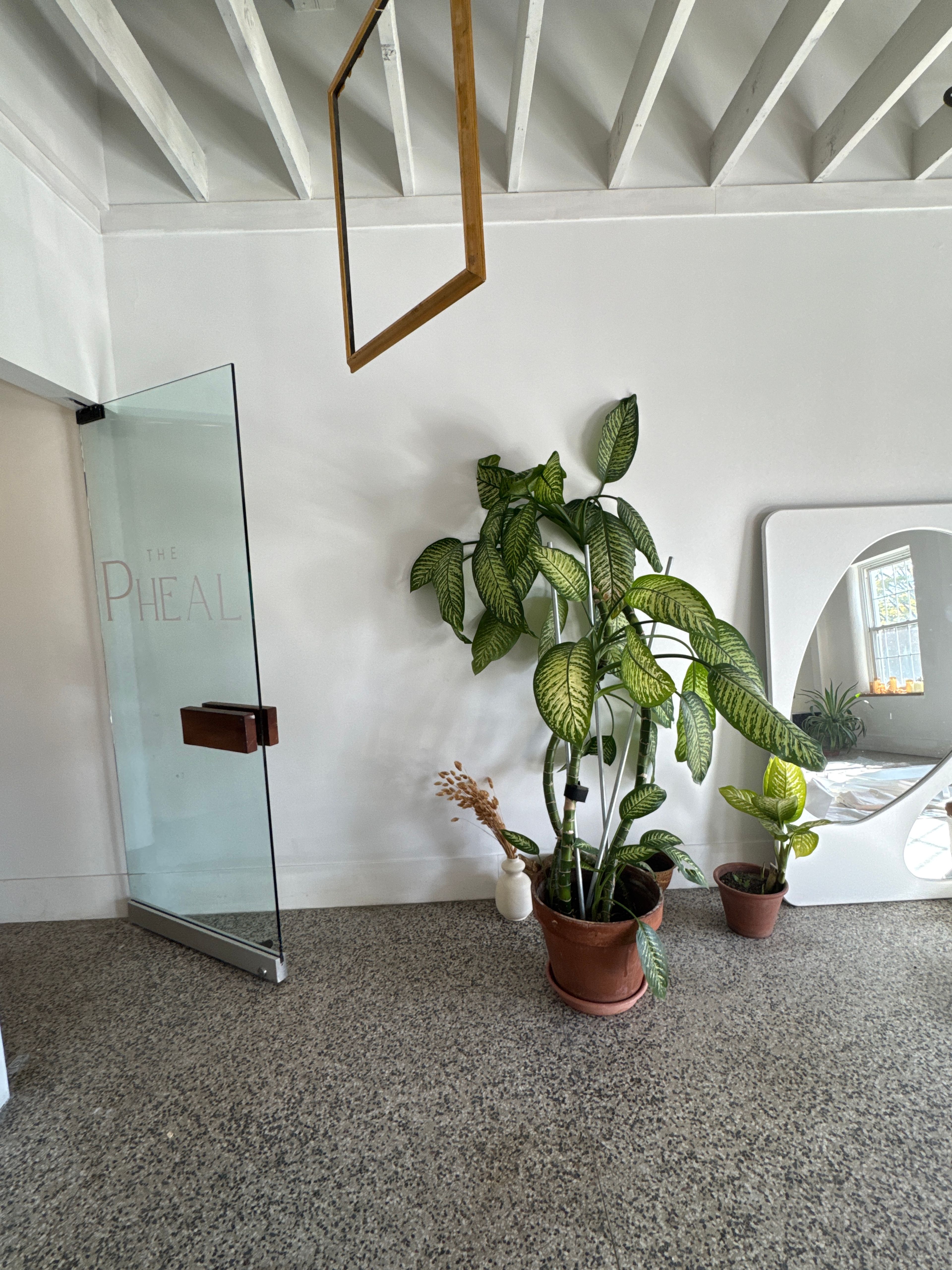 Cover photo of The Pheal