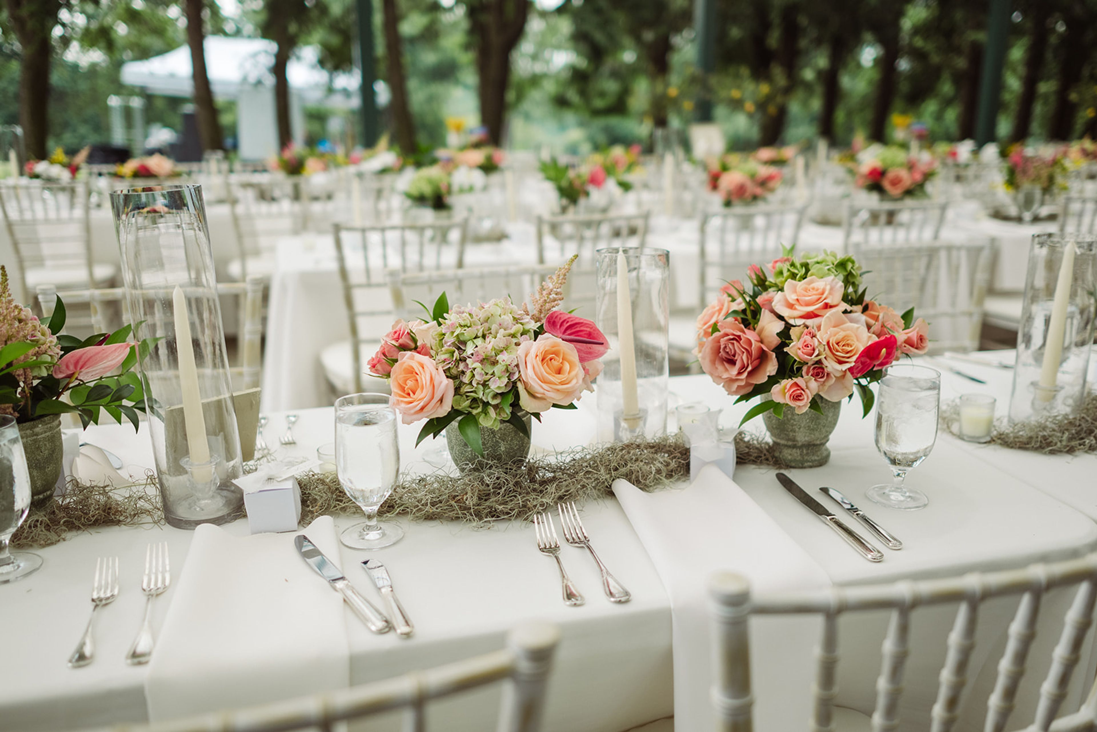 Cover photo of Hello Productions