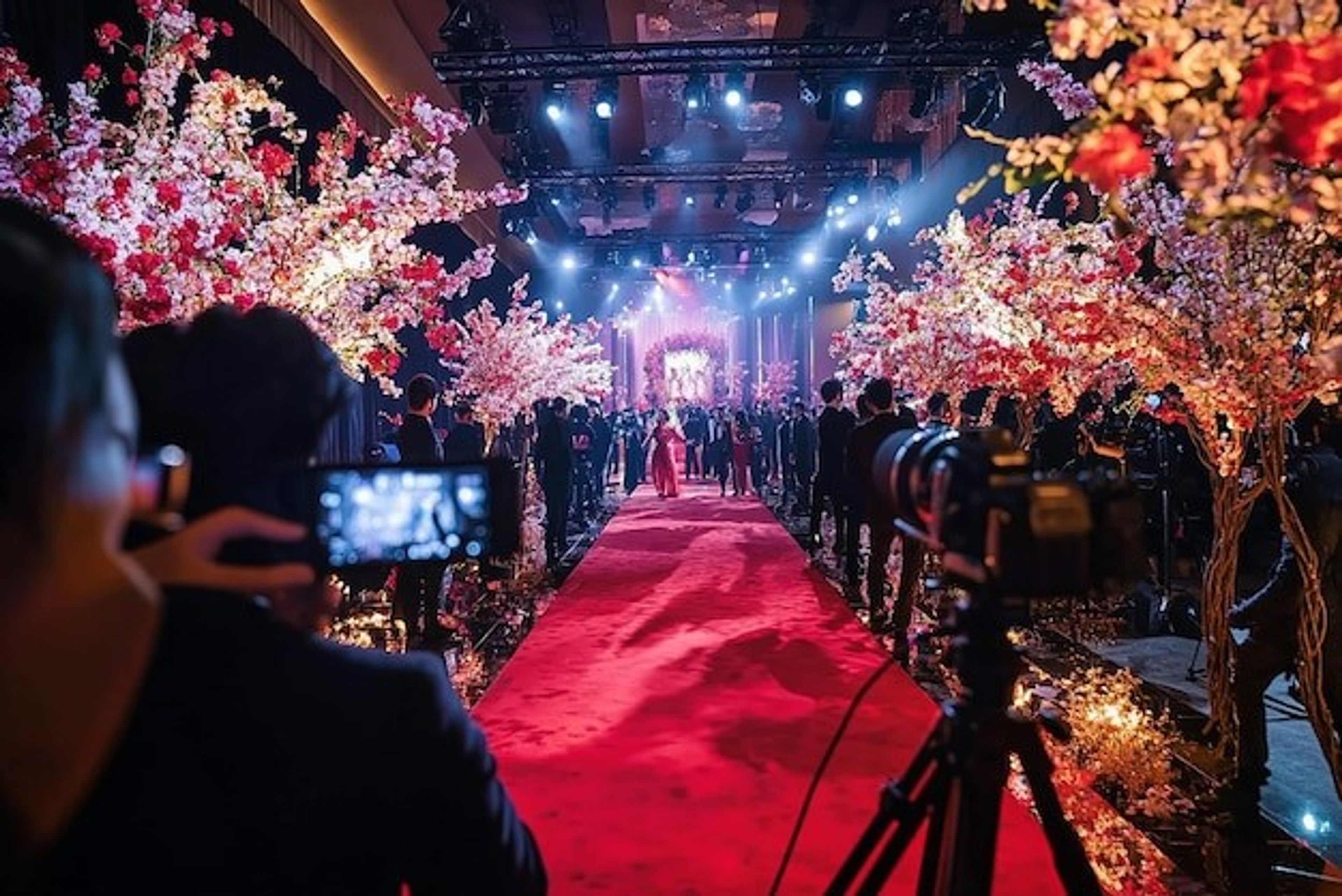 Cover photo of Mackay Lighting Design