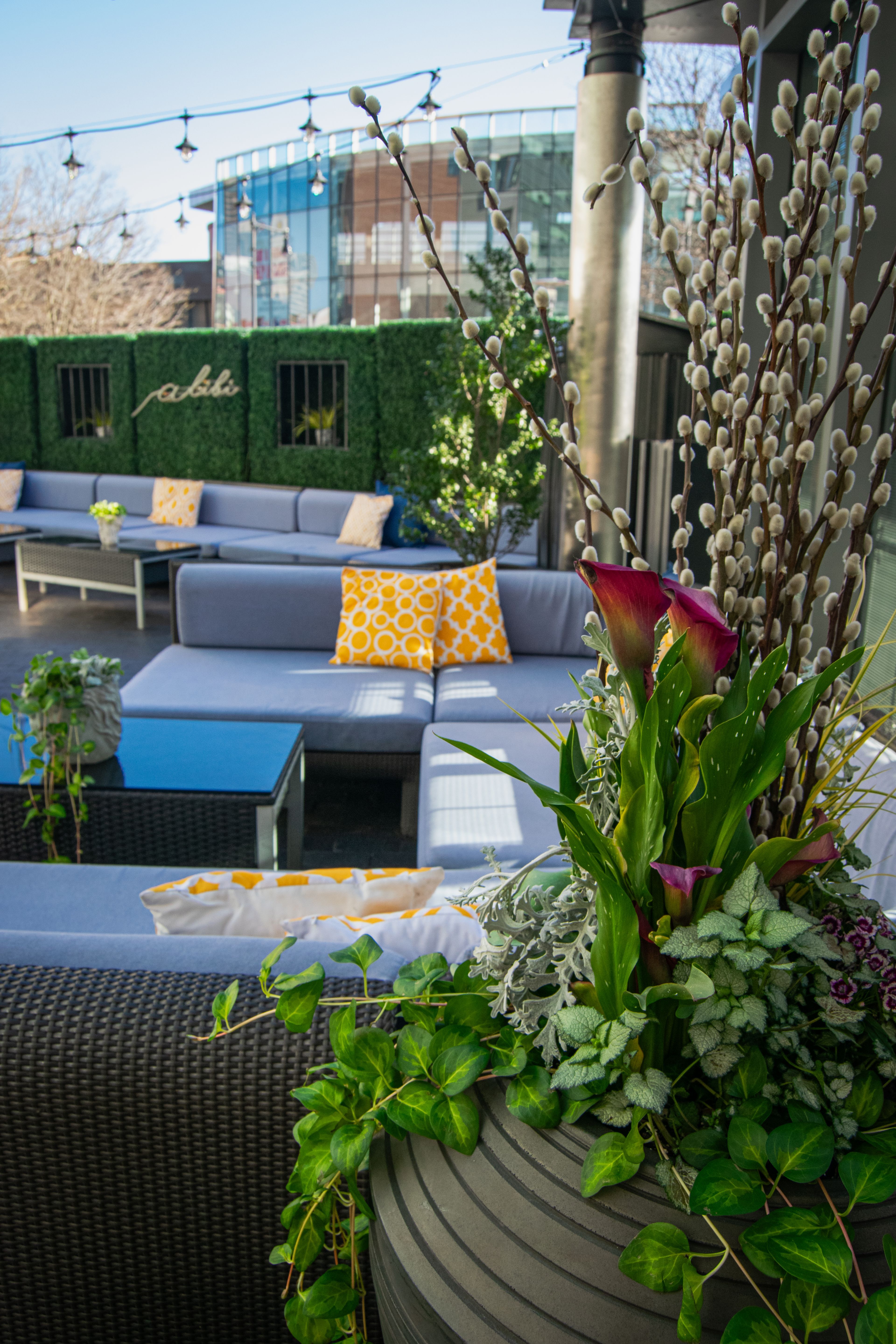 Cover photo of Alibi Bar and Lounge