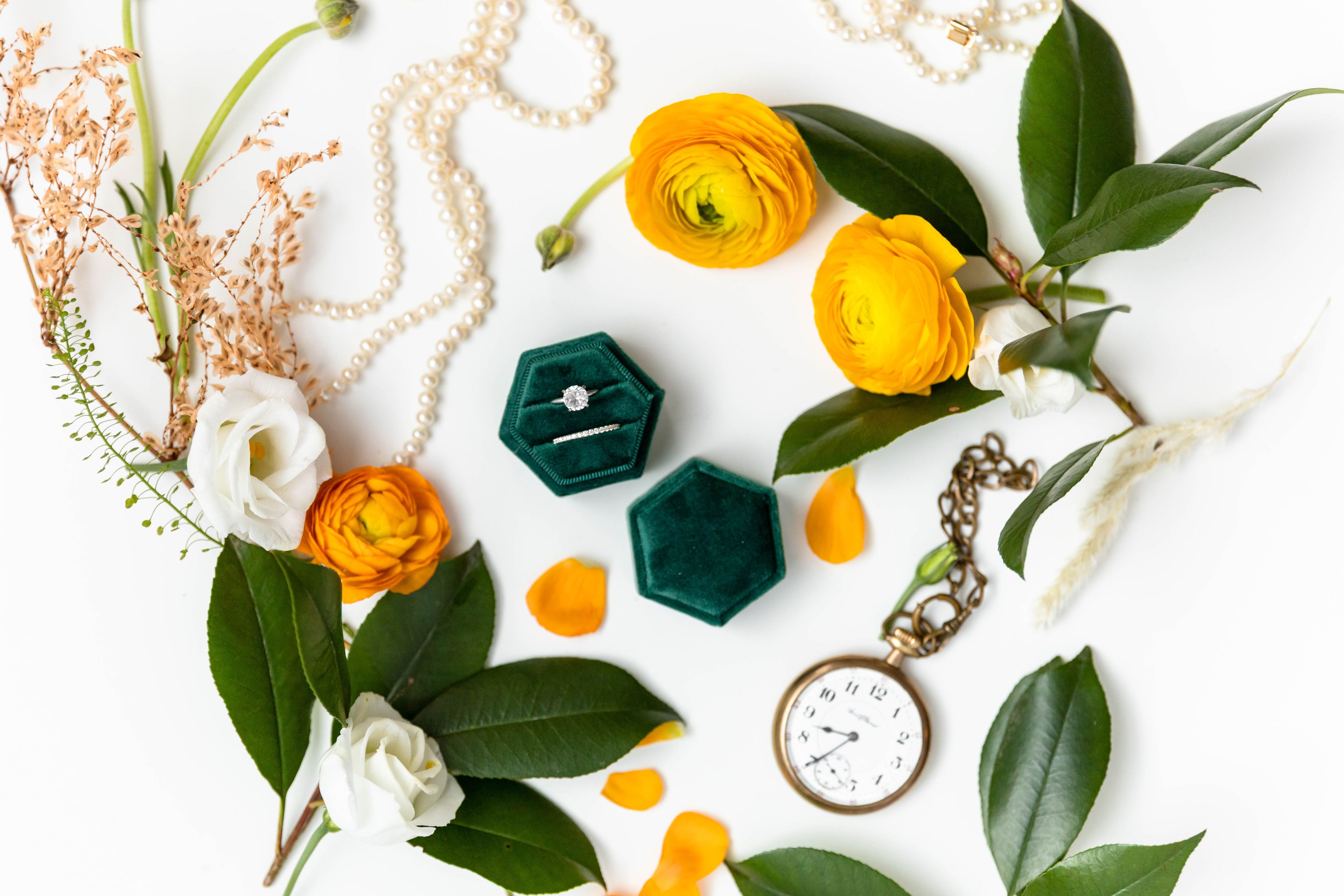 Cover photo of Sophia Osborne Photography