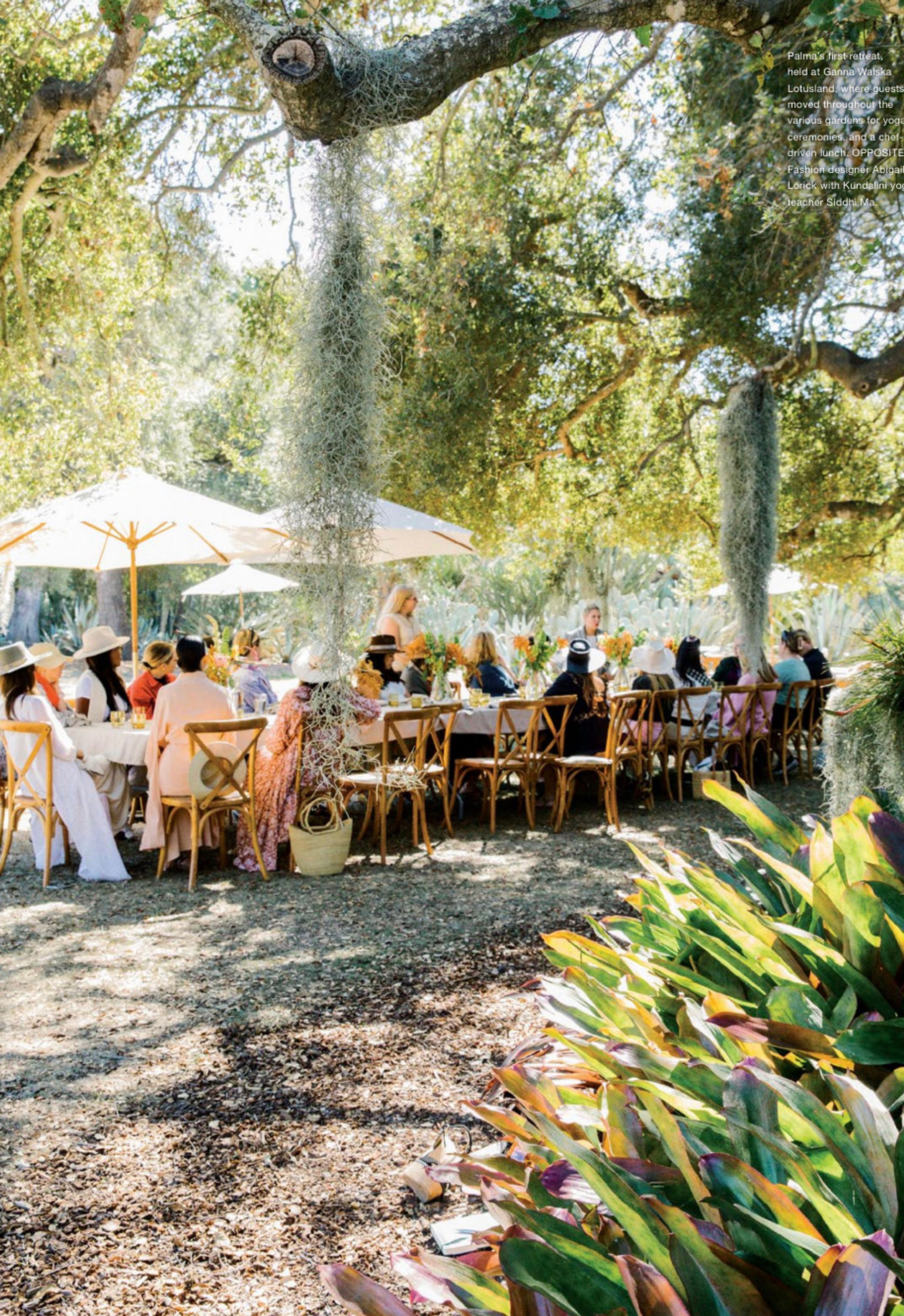 Cover photo of MIDI foods