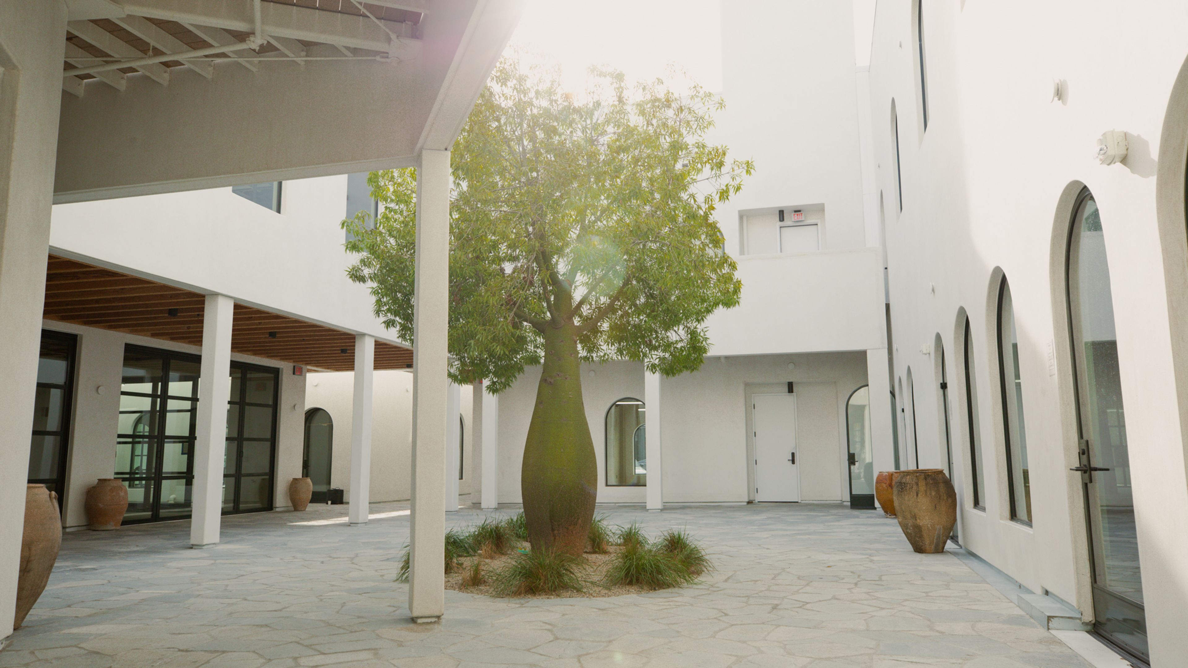 Cover photo of Signal