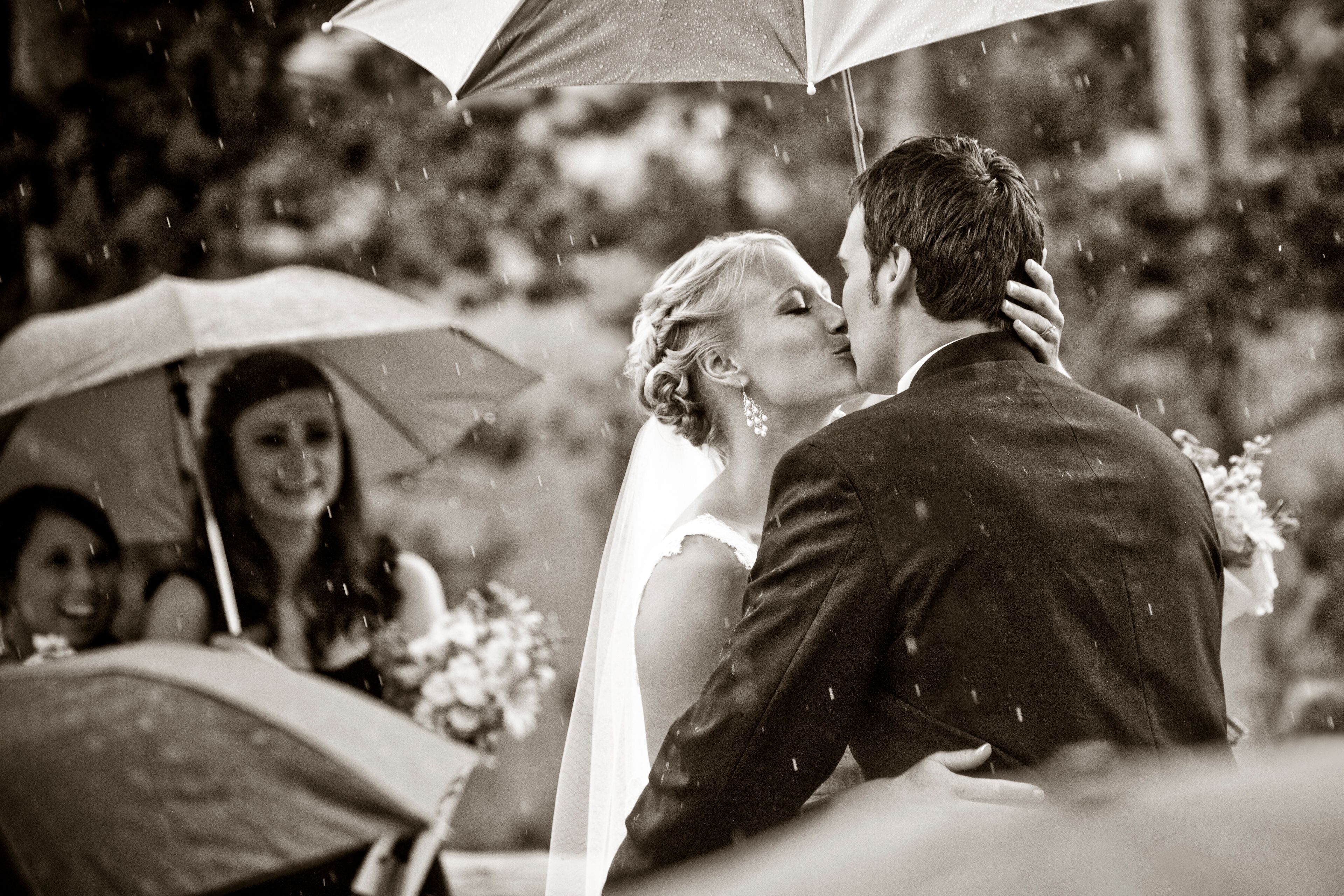 Cover photo of David Lynn Photography