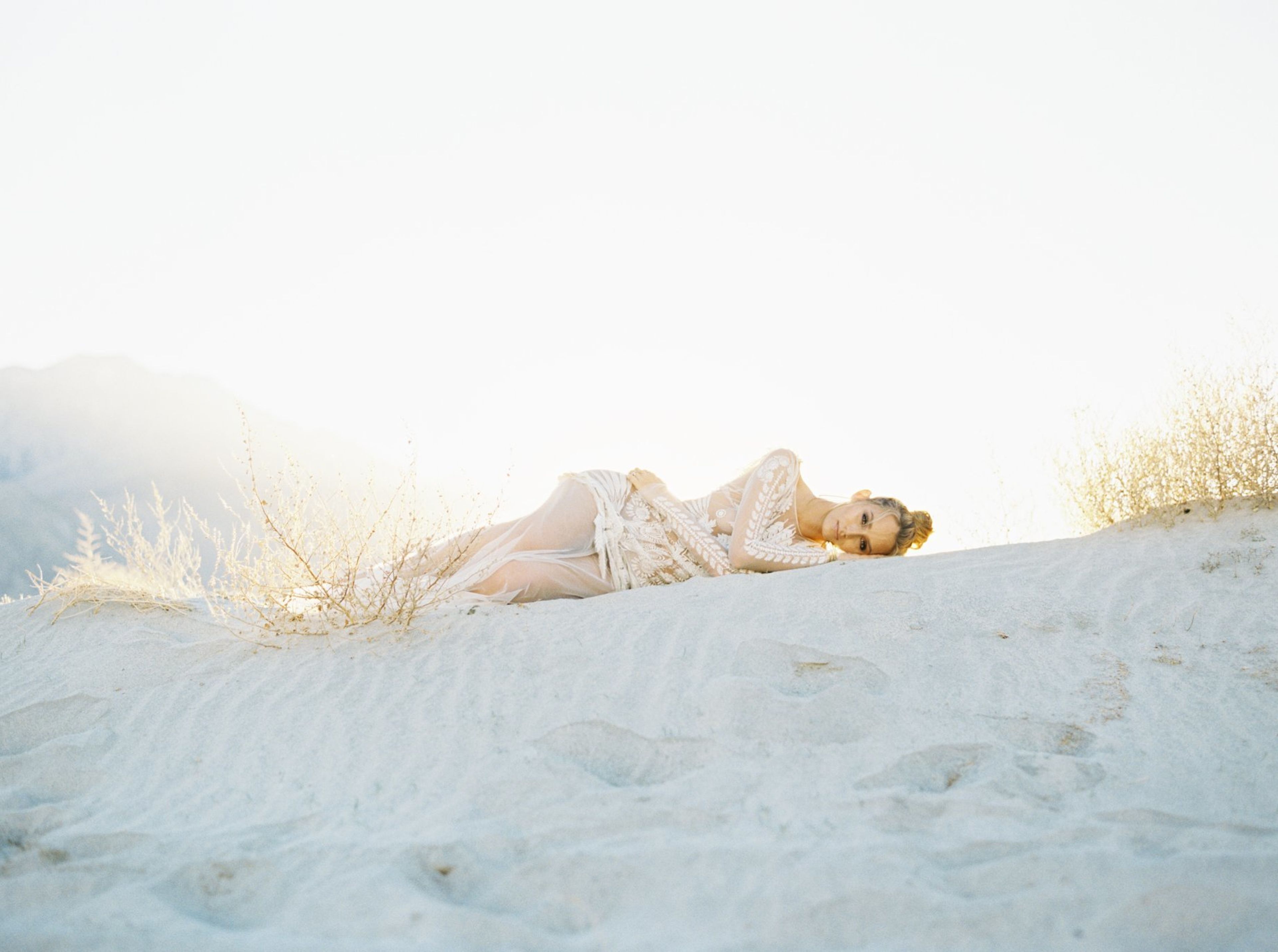 Cover photo of Blue Rose Photography