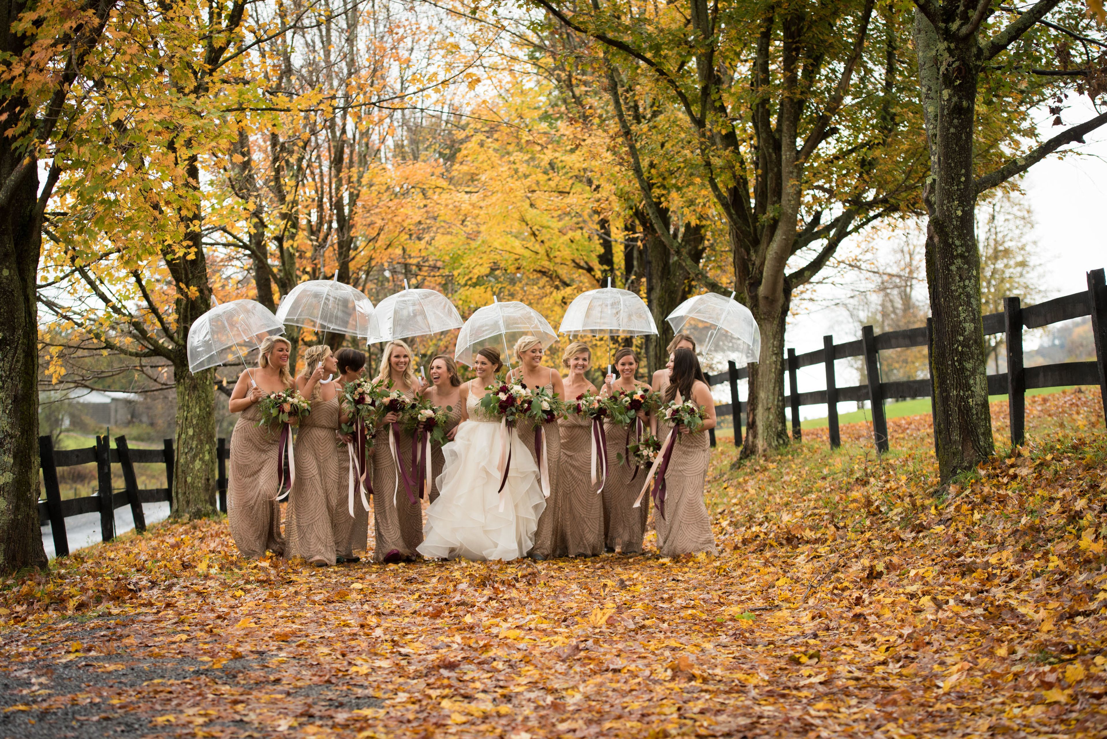 Cover photo of Charlotte Jarrett Events