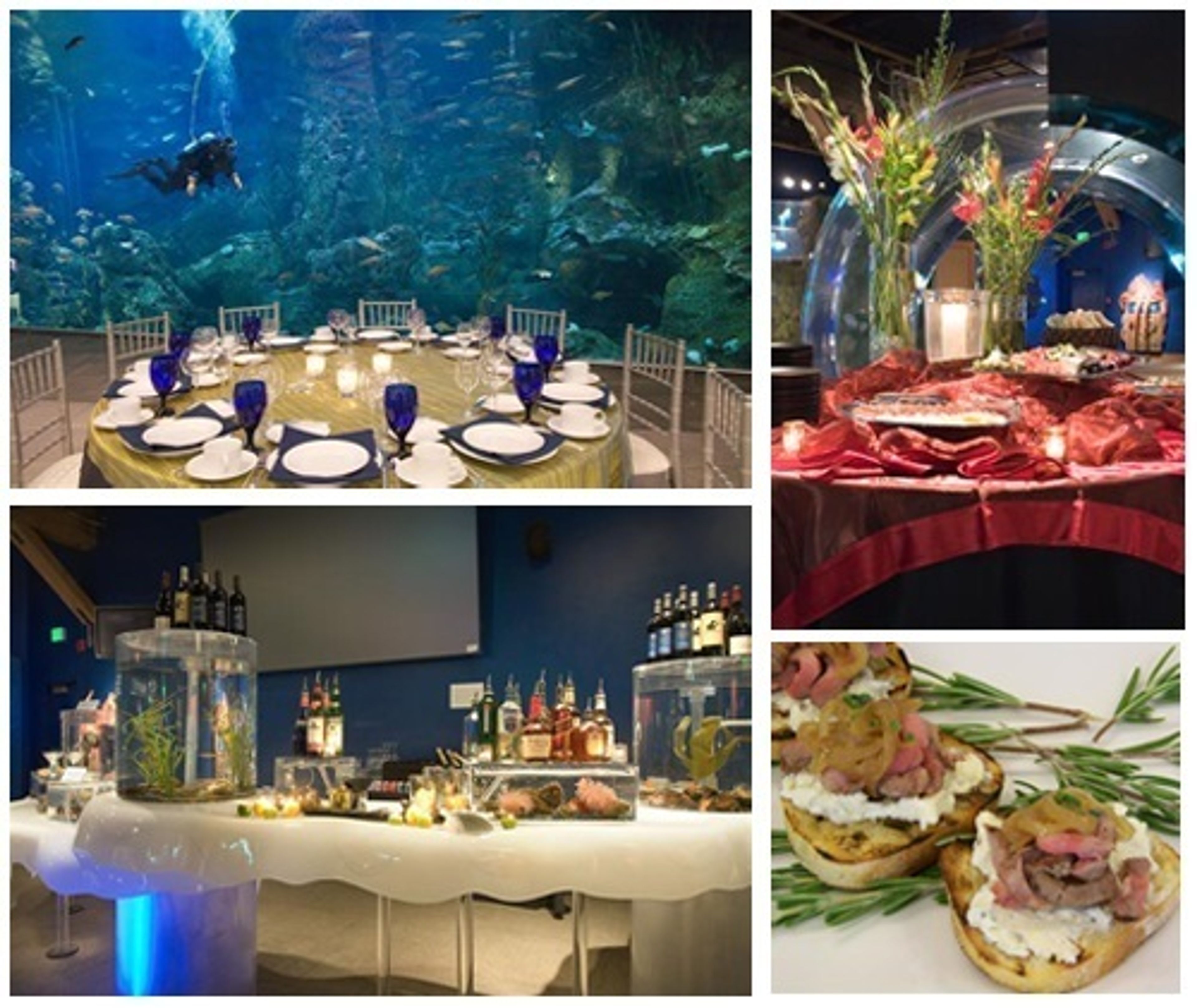 Cover photo of Seattle Aquarium