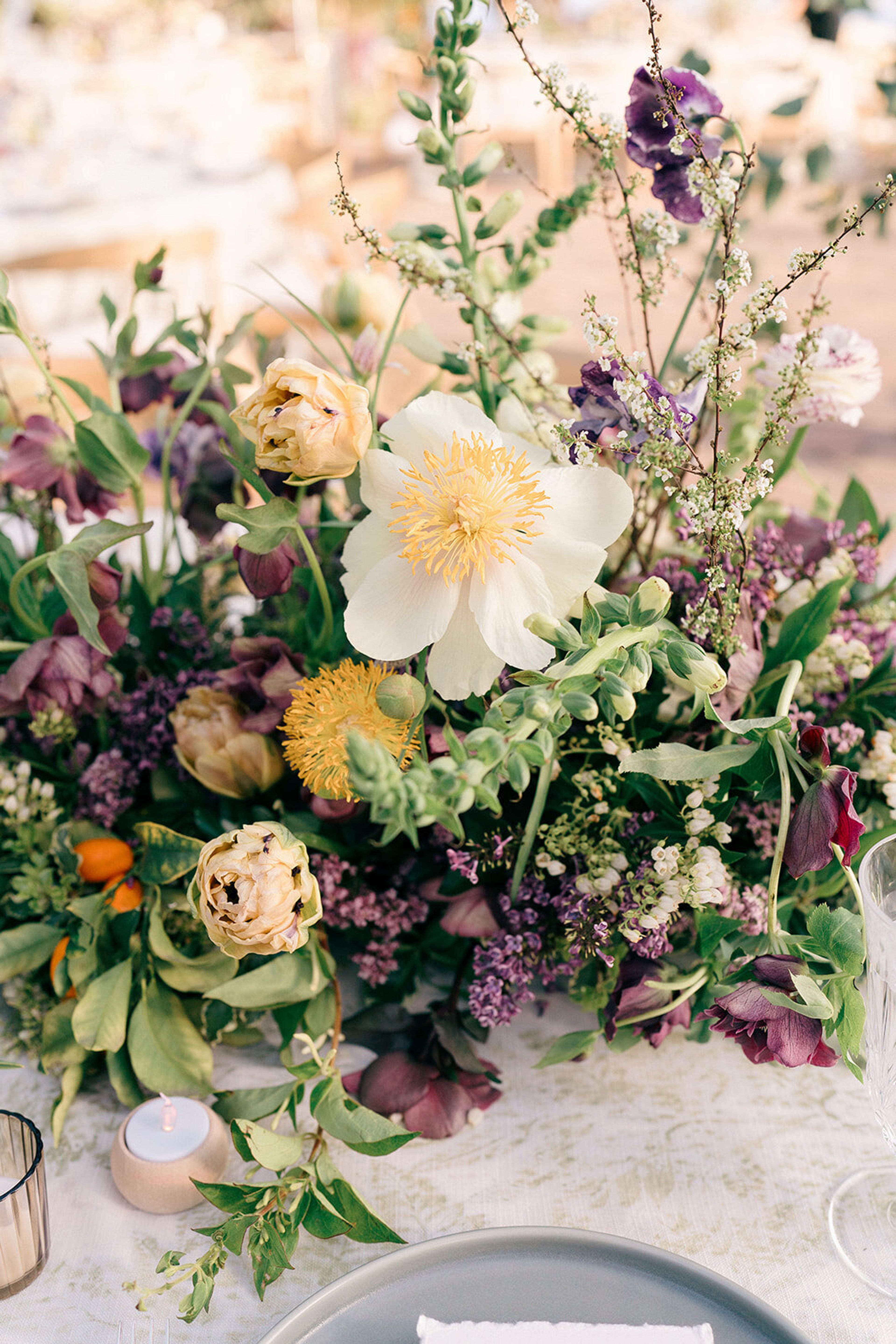 Cover photo of Taryn Collins & Co