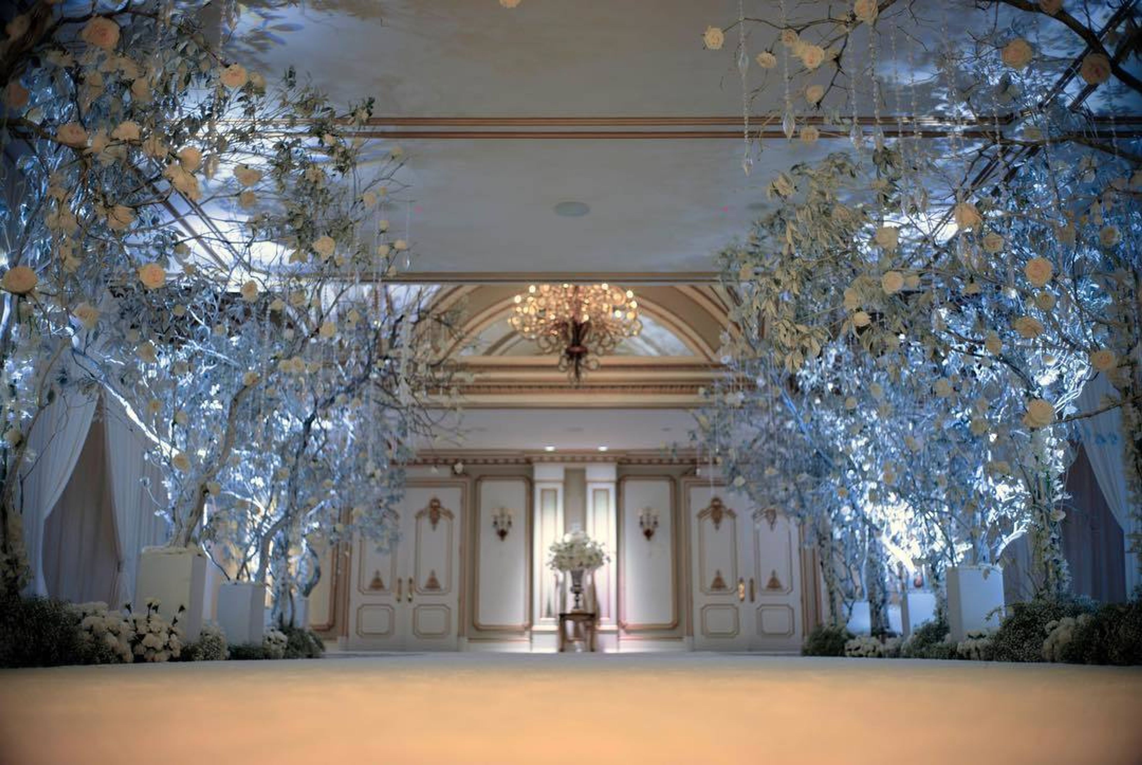 Cover photo of Visual Comet