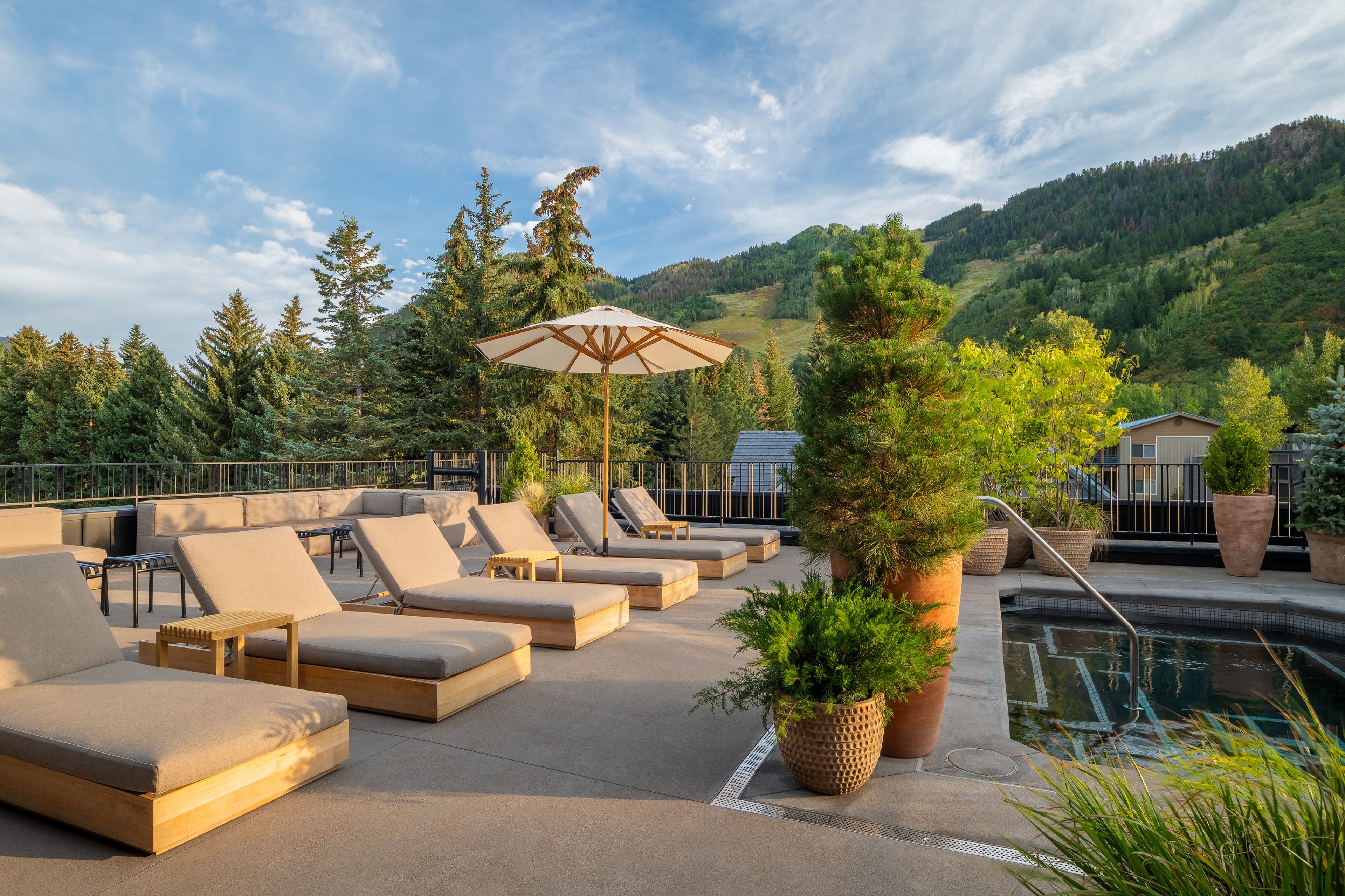 Cover photo of MOLLIE Aspen