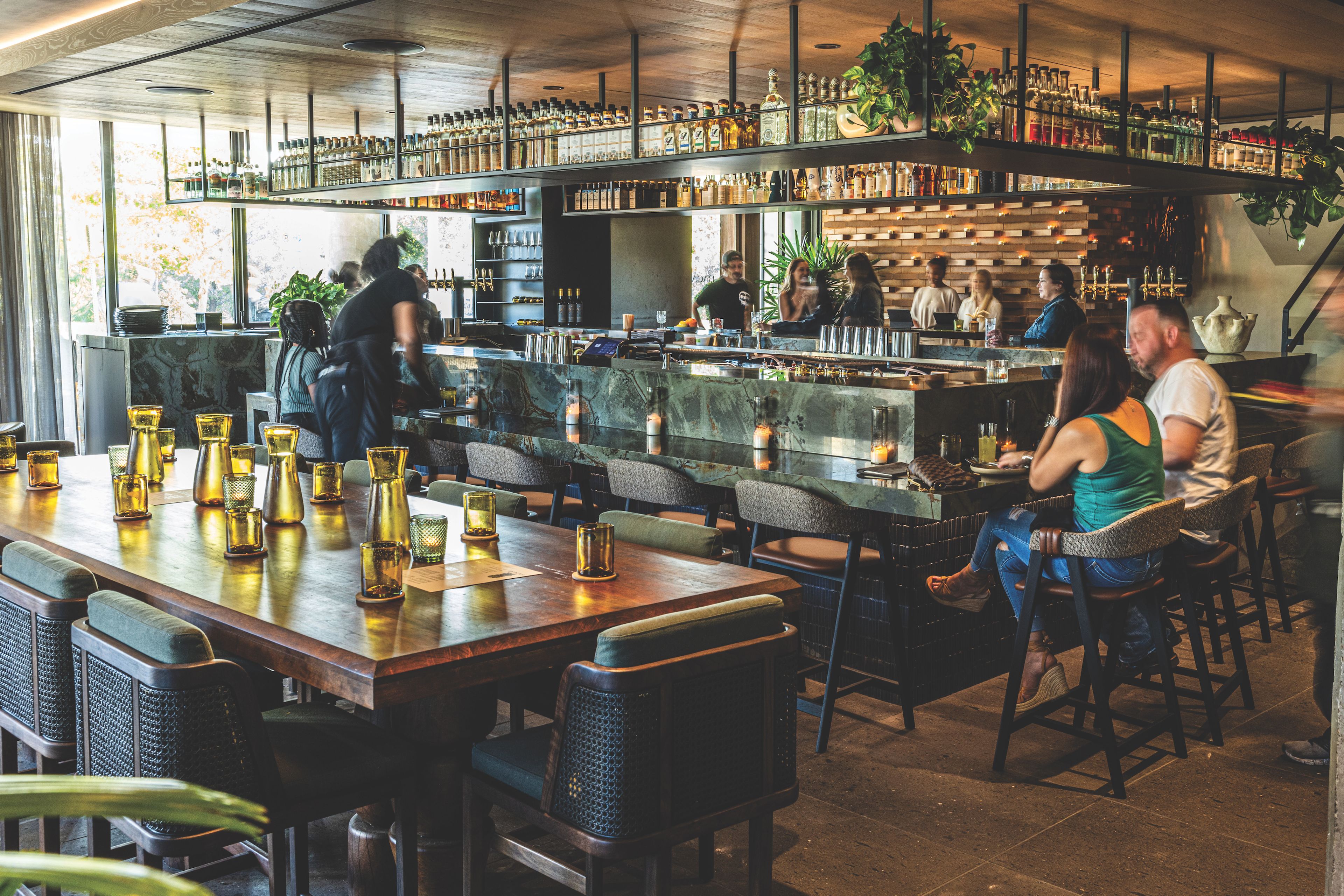 Cover photo of Tomalo