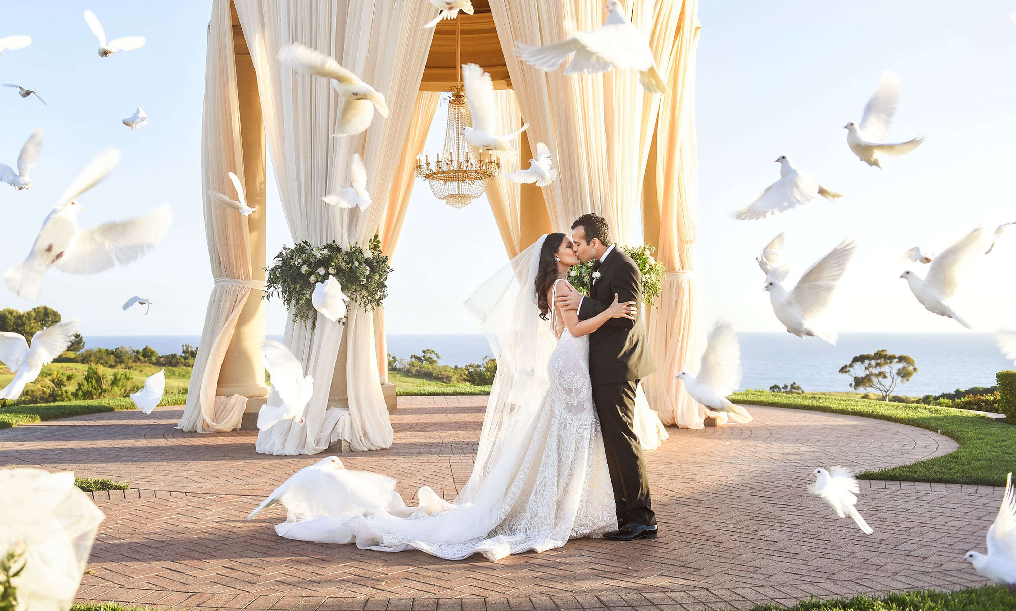 Cover photo of Armen Photo