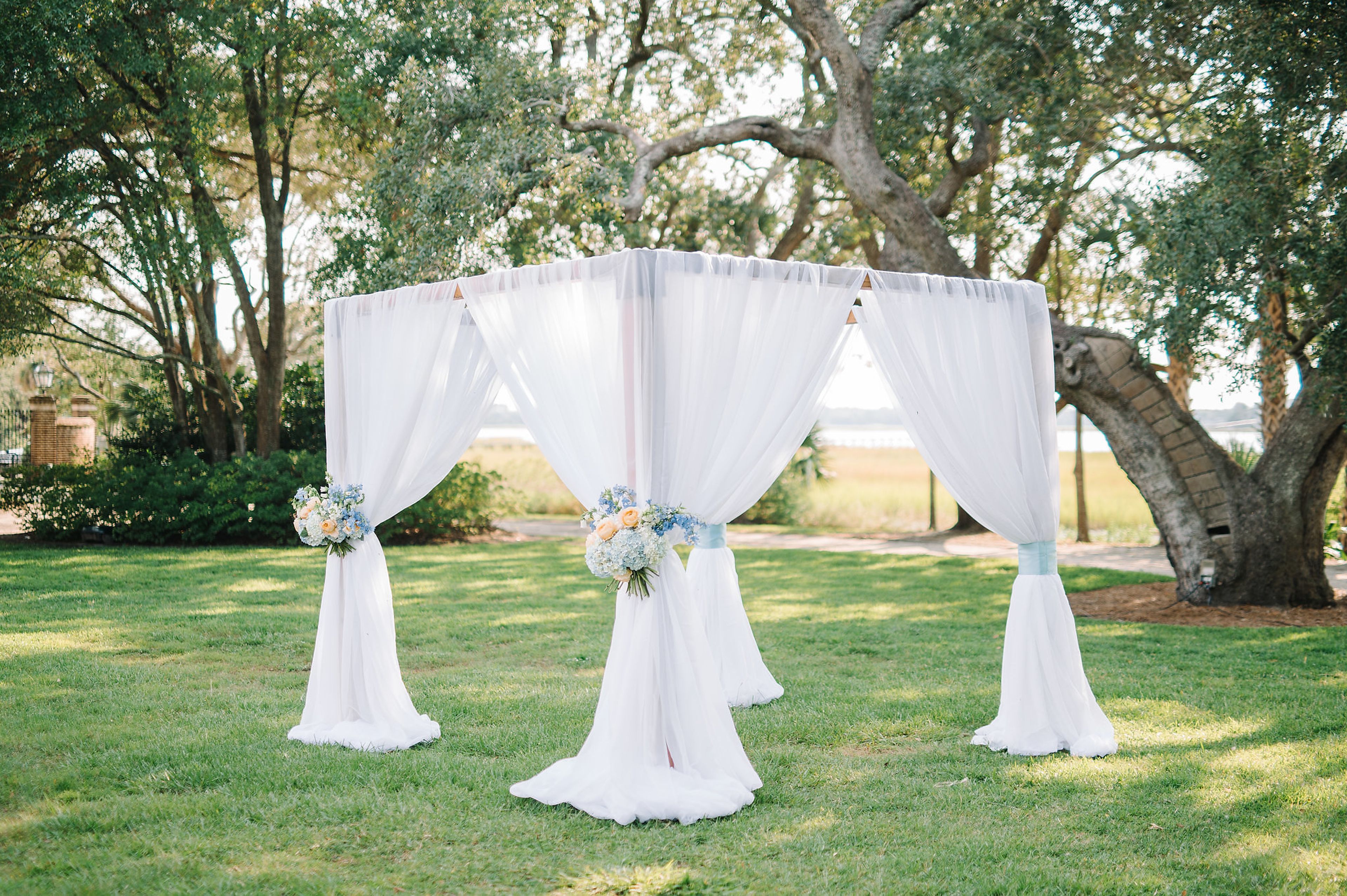 Cover photo of The Social Spool