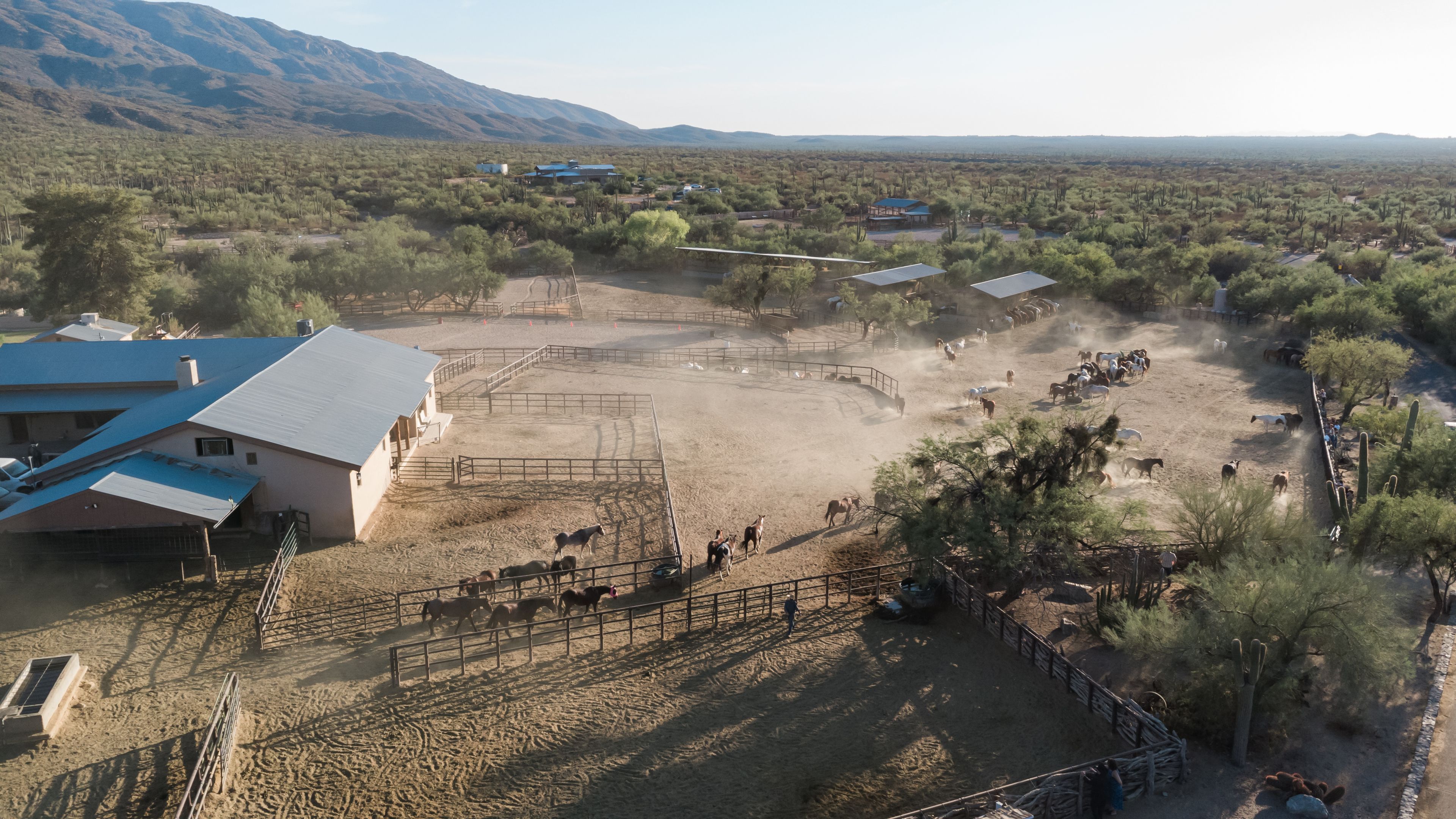 Cover photo of Tanque Verde Ranch