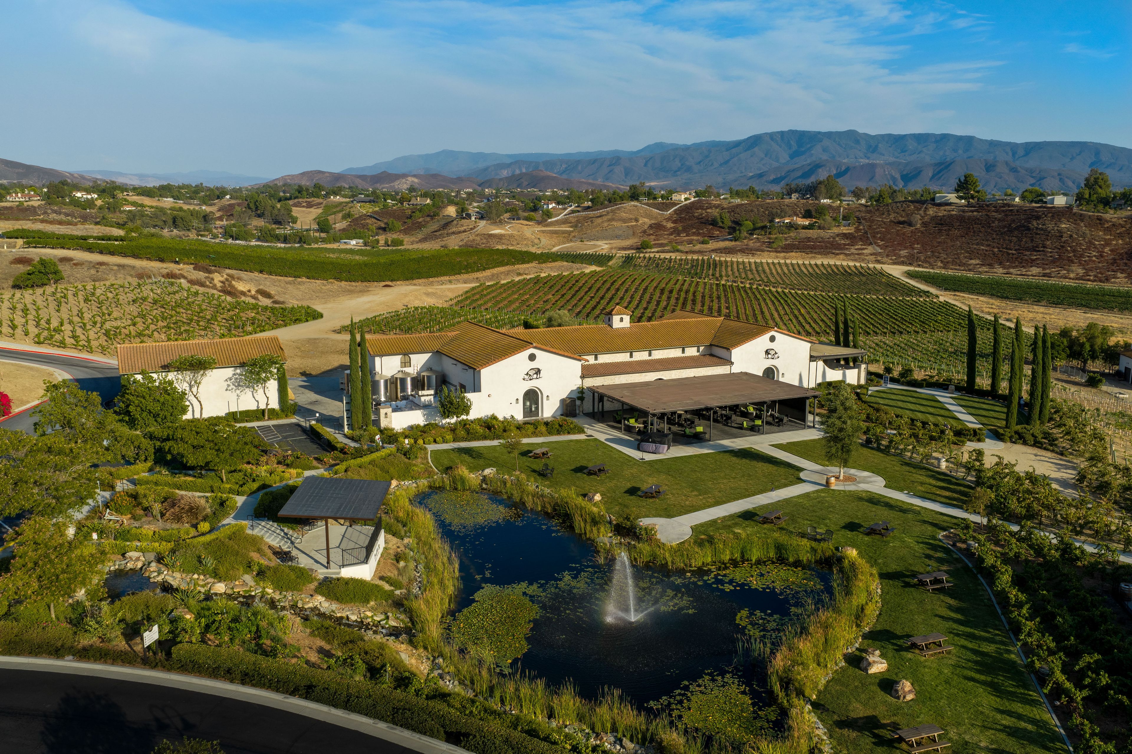 Featured photo from Truffle Pig Winery by Wedgewood Weddings