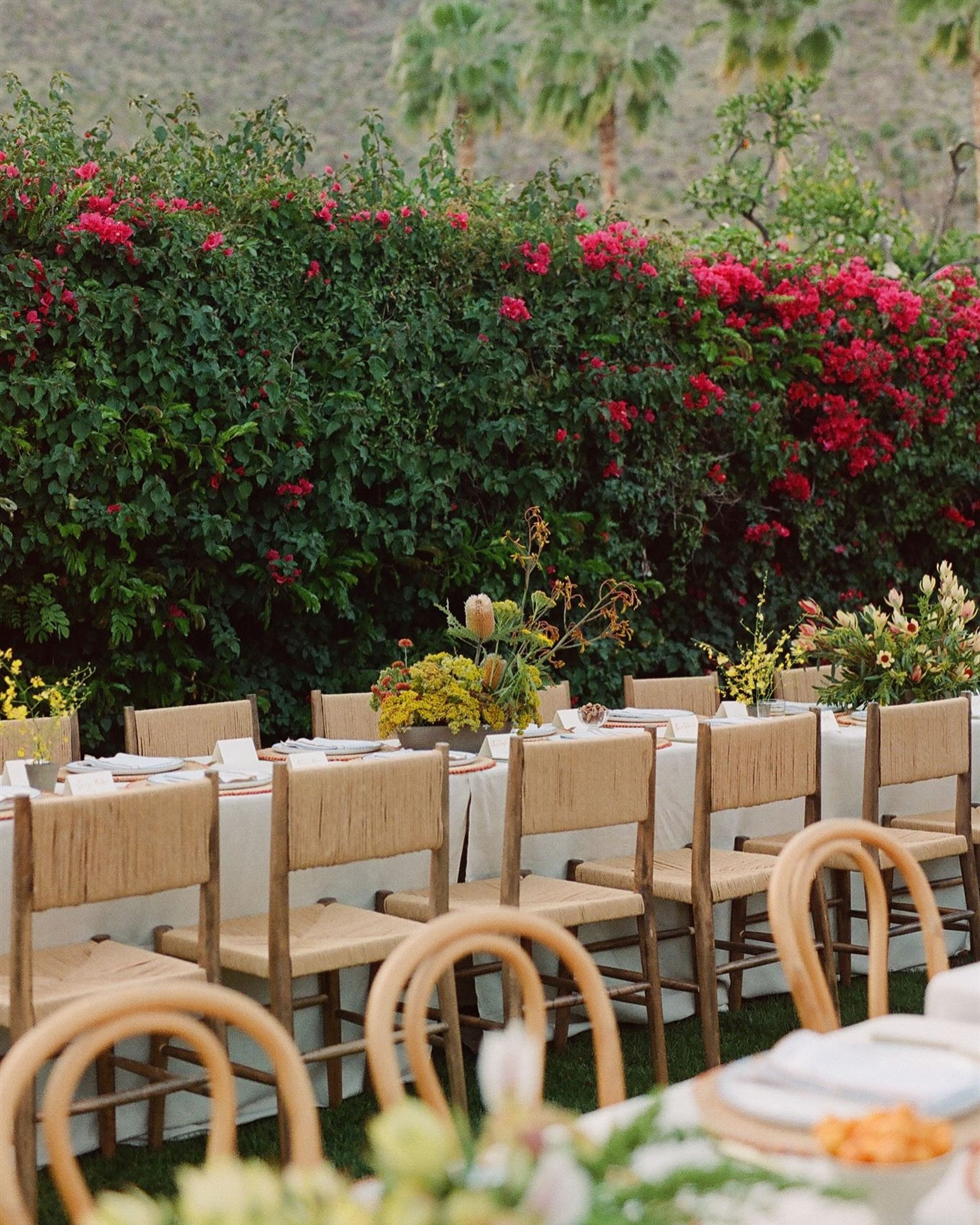 Cover photo of Casa Cody