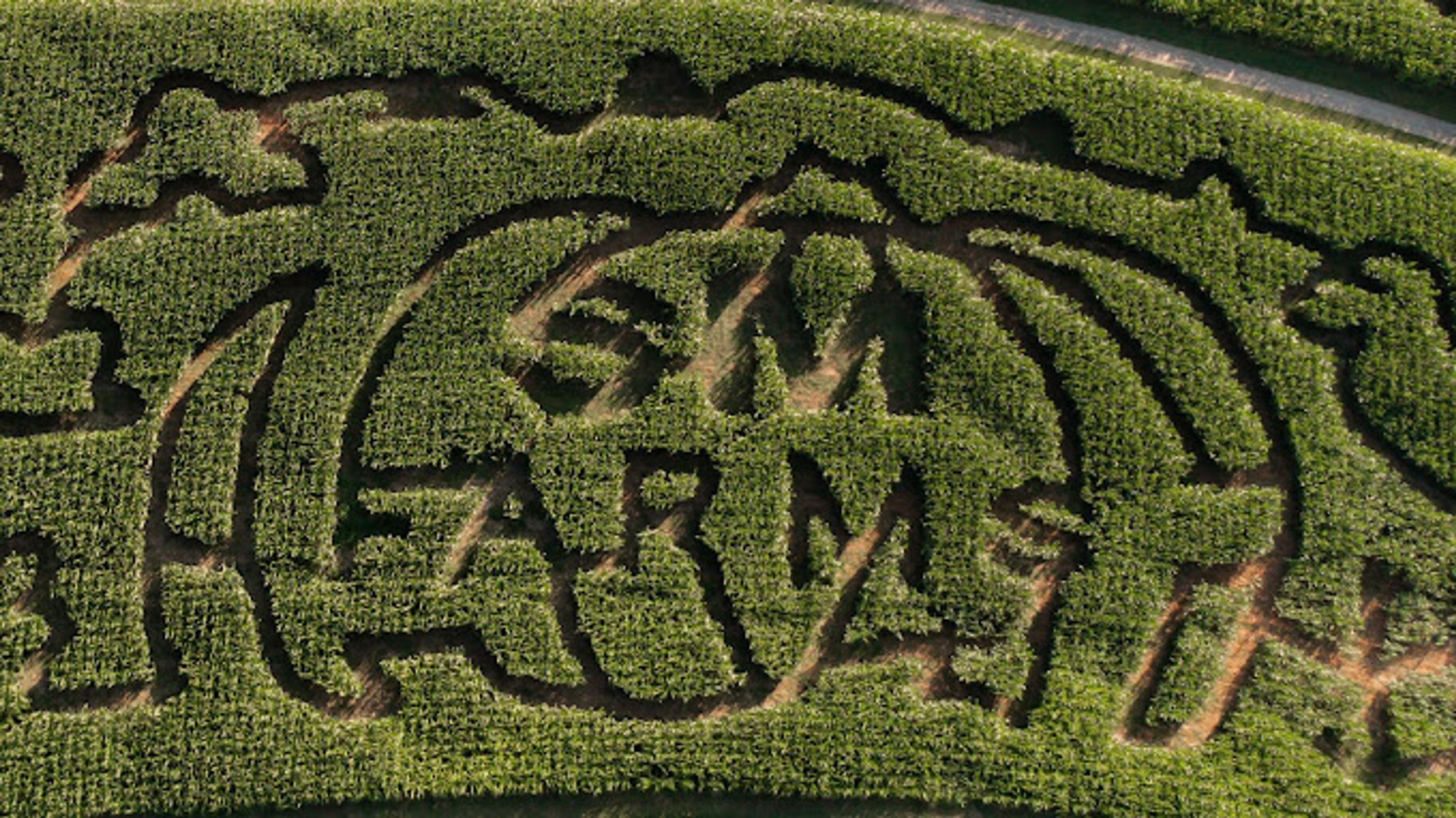 Cover photo of Skitts Mountain Farms