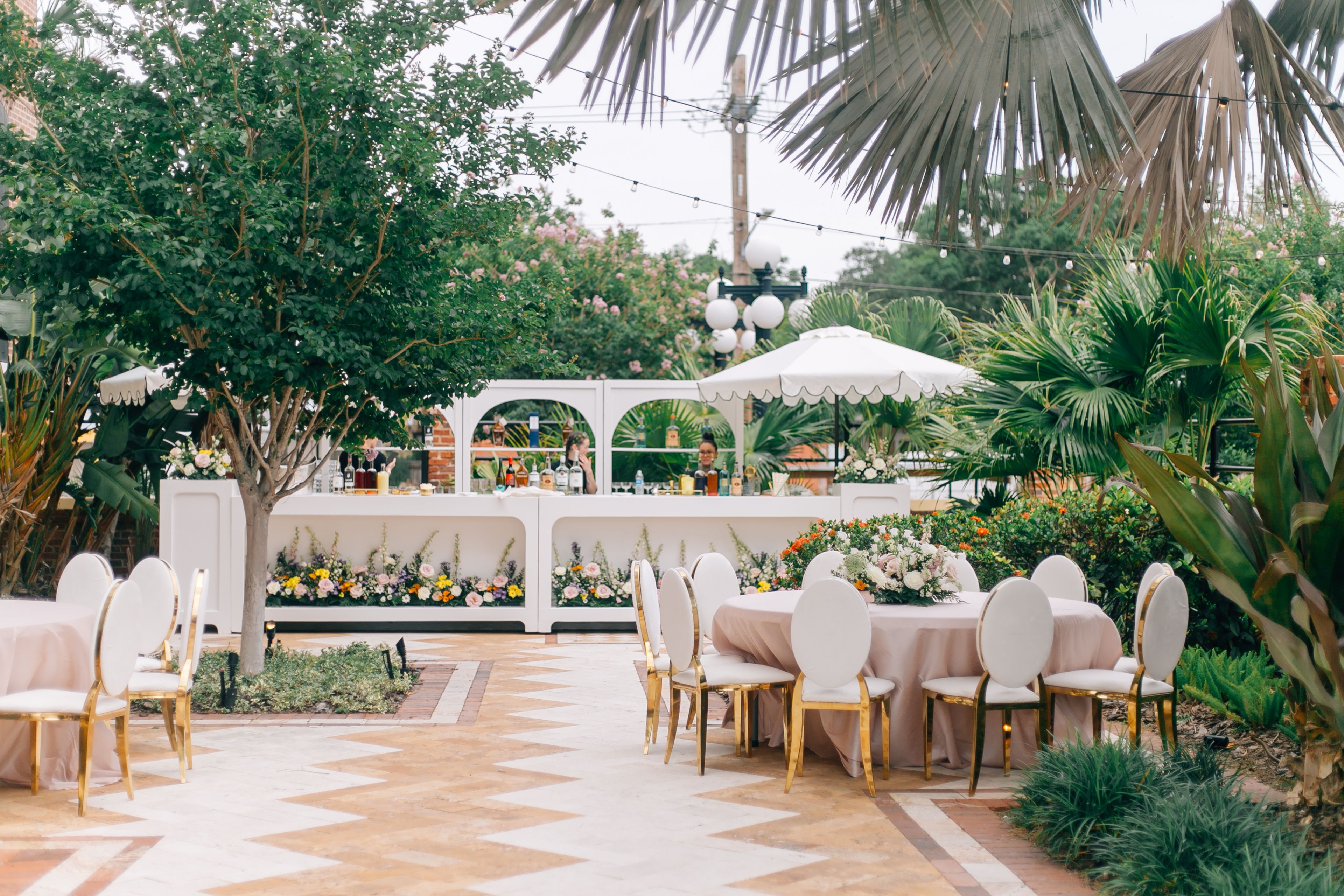 Cover photo of Social Revelry