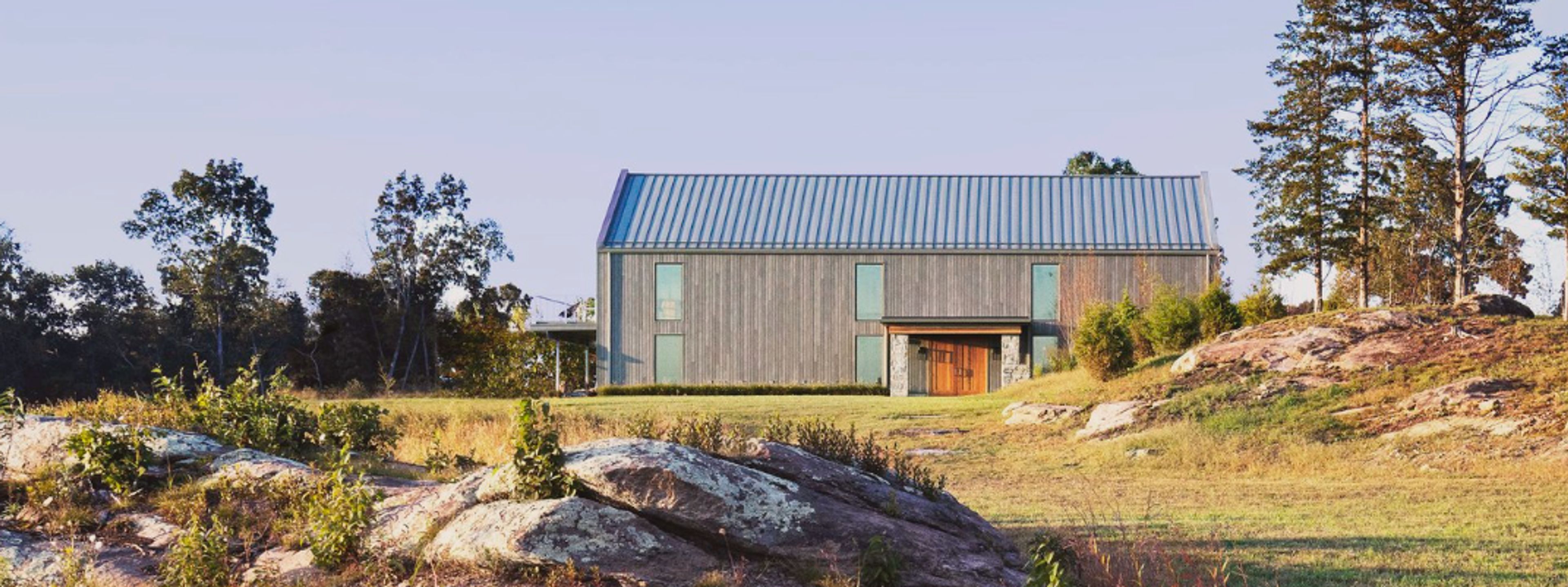 Cover photo of Kingdom of the Hawk