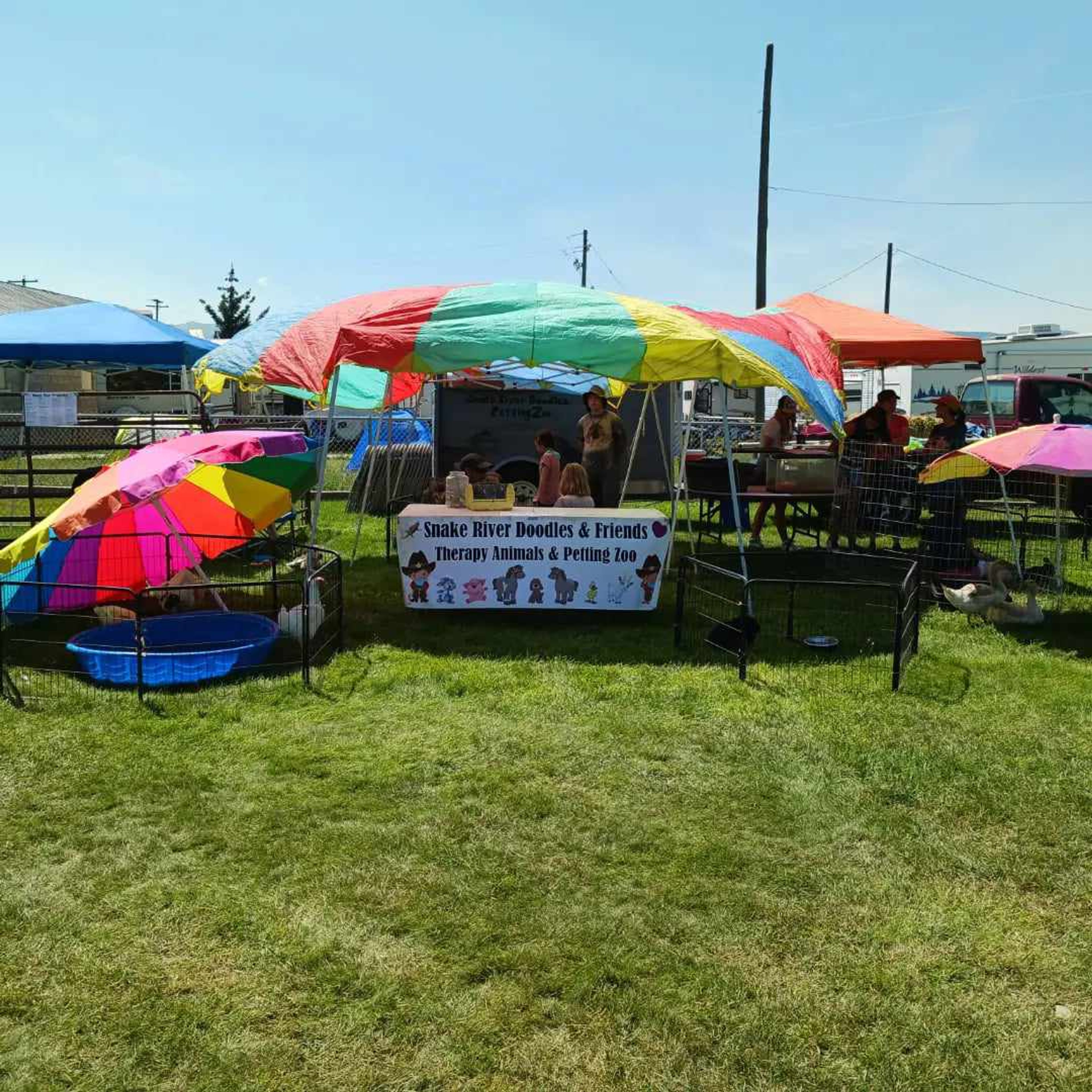 Cover photo of SRD's Traveling Animals