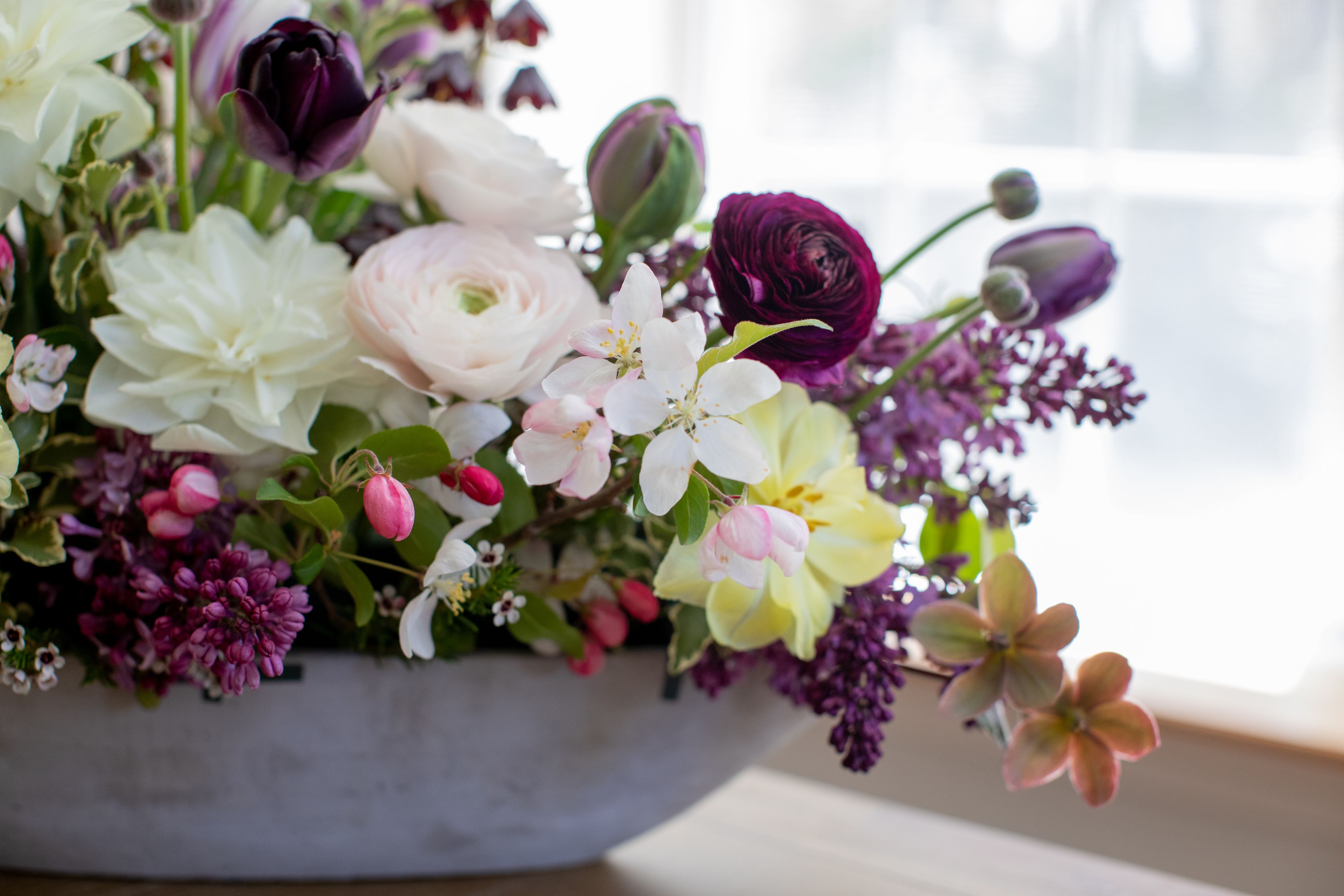 Cover photo of Semper Virens Flowers