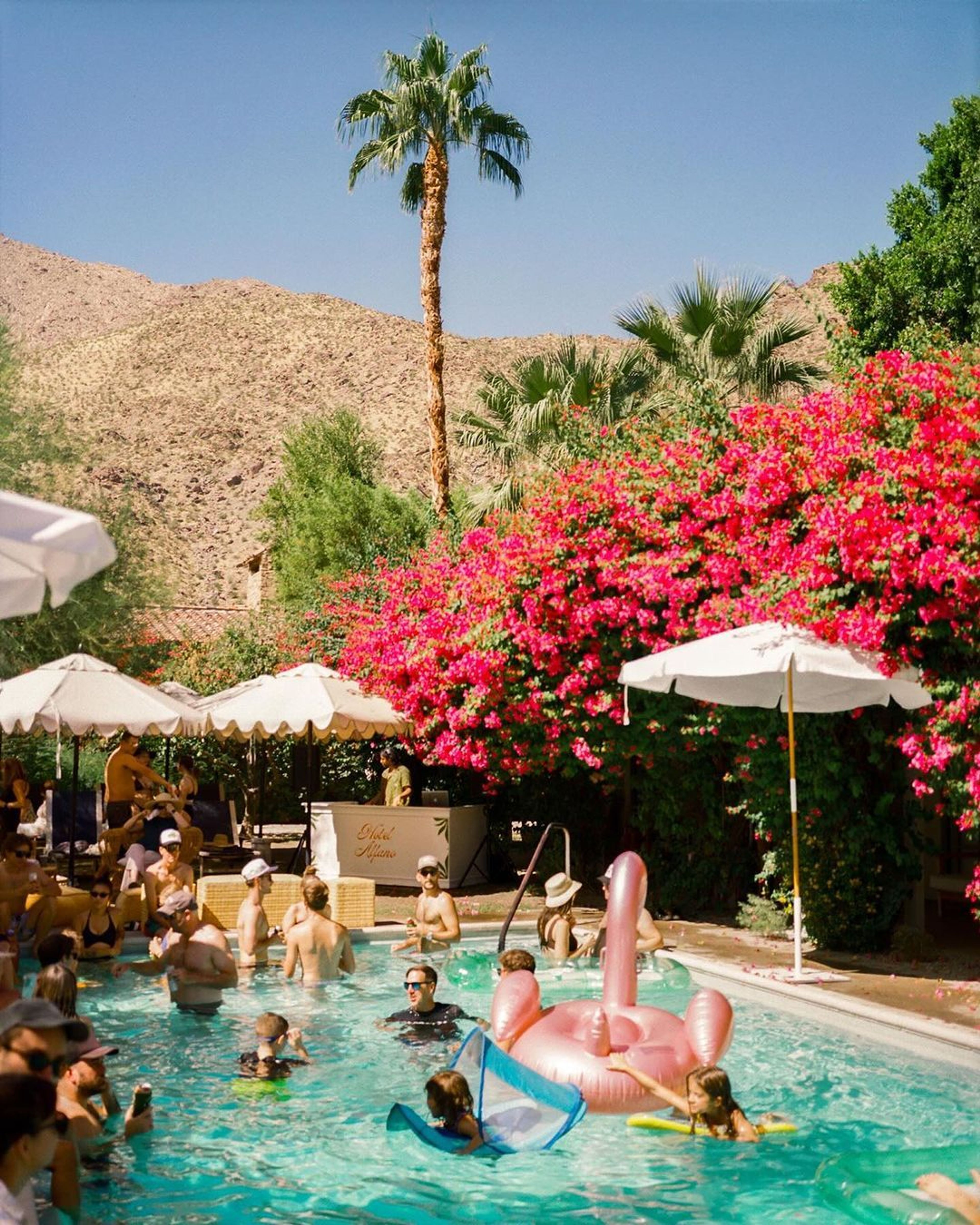 Cover photo of Casa Cody