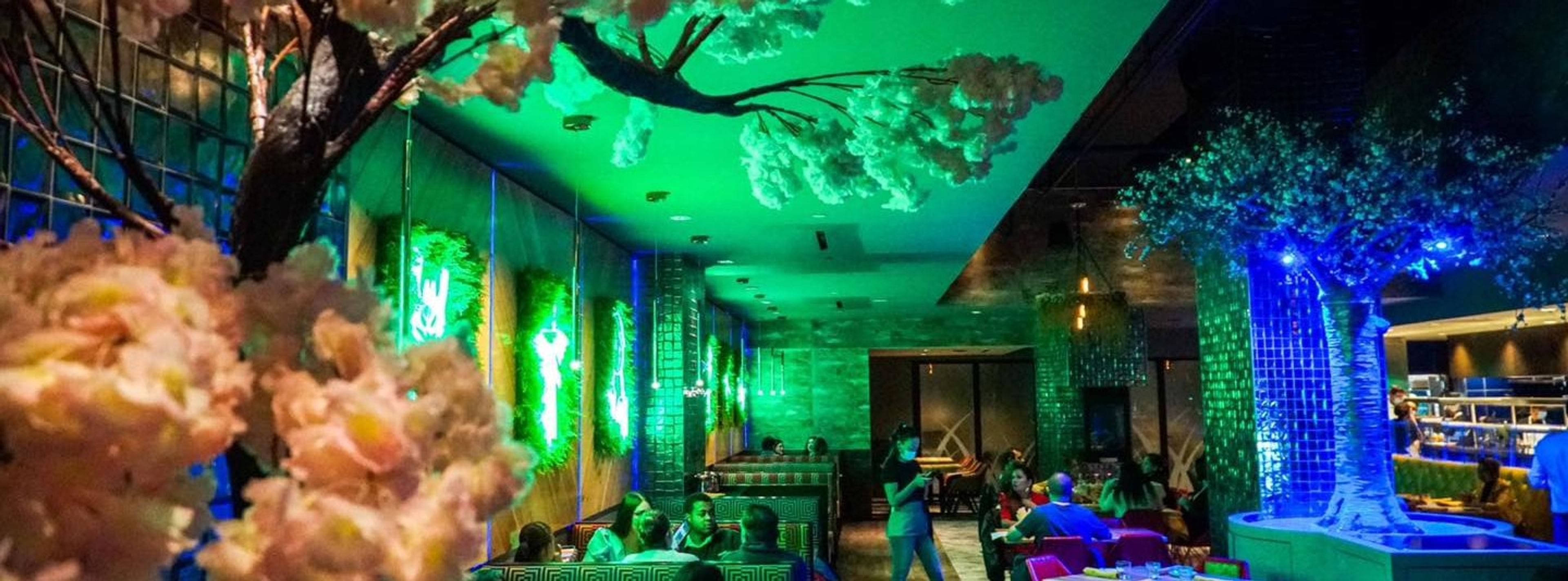 Cover photo of Inca Social Arlington