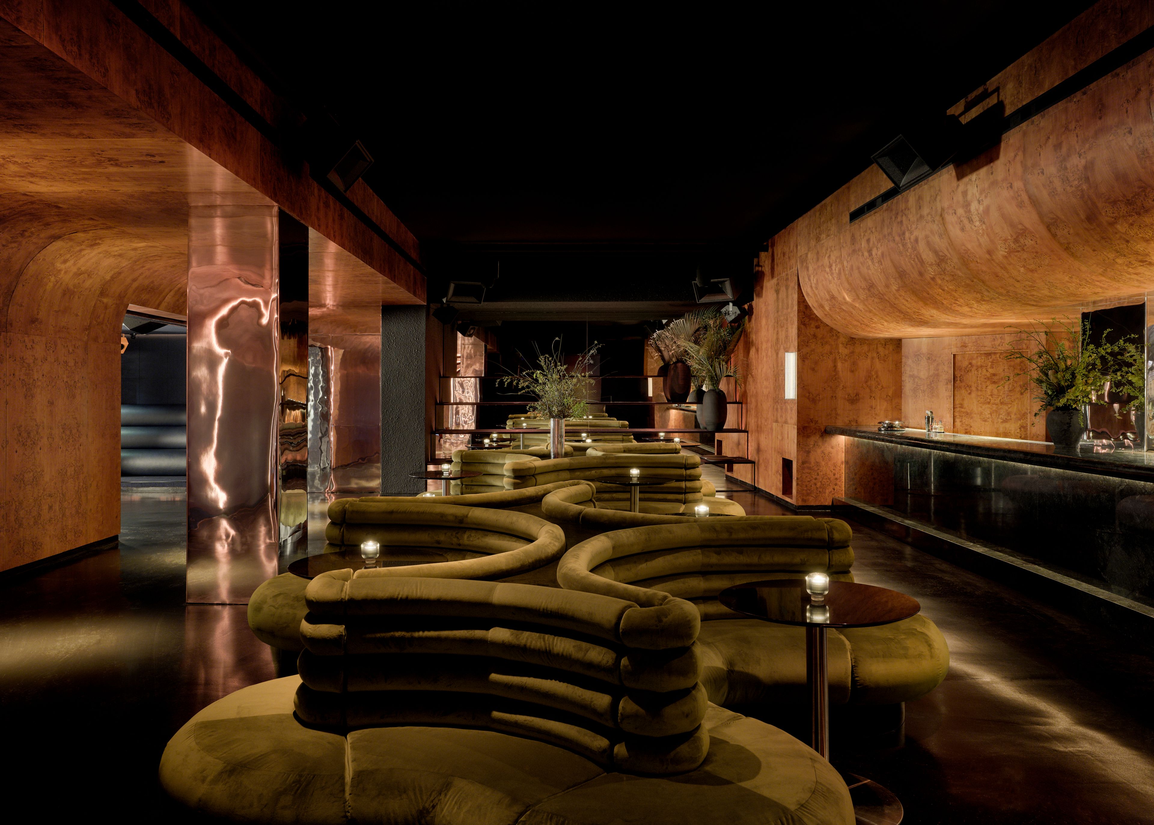 Cover photo of Unveiled