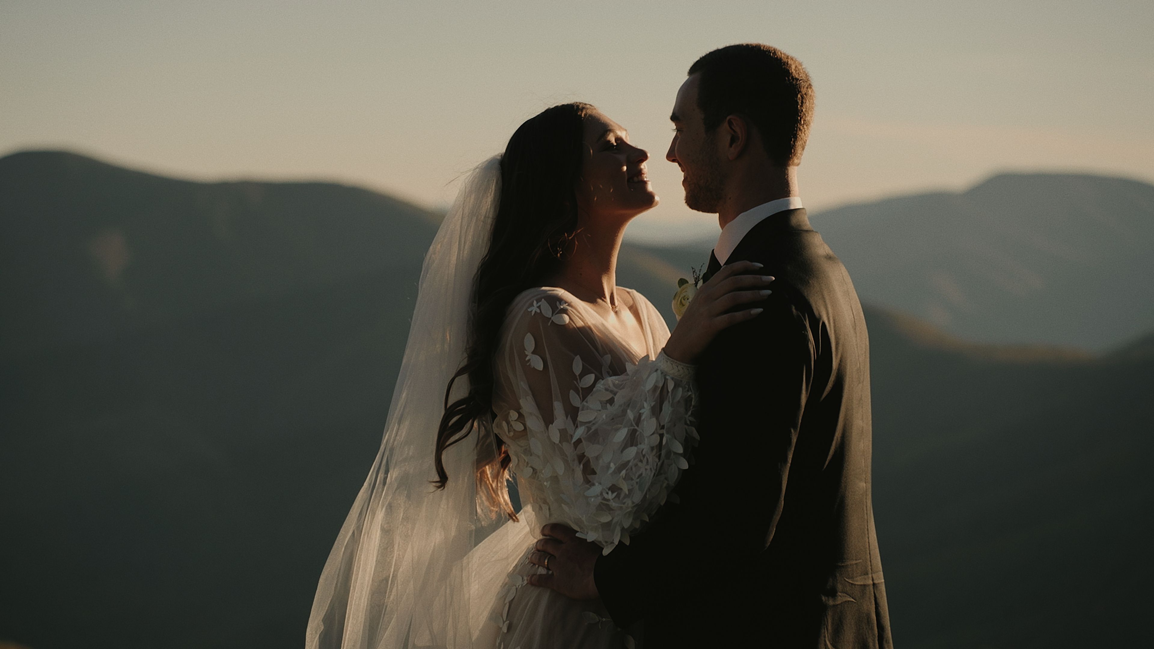 Cover photo of Ivory Tree