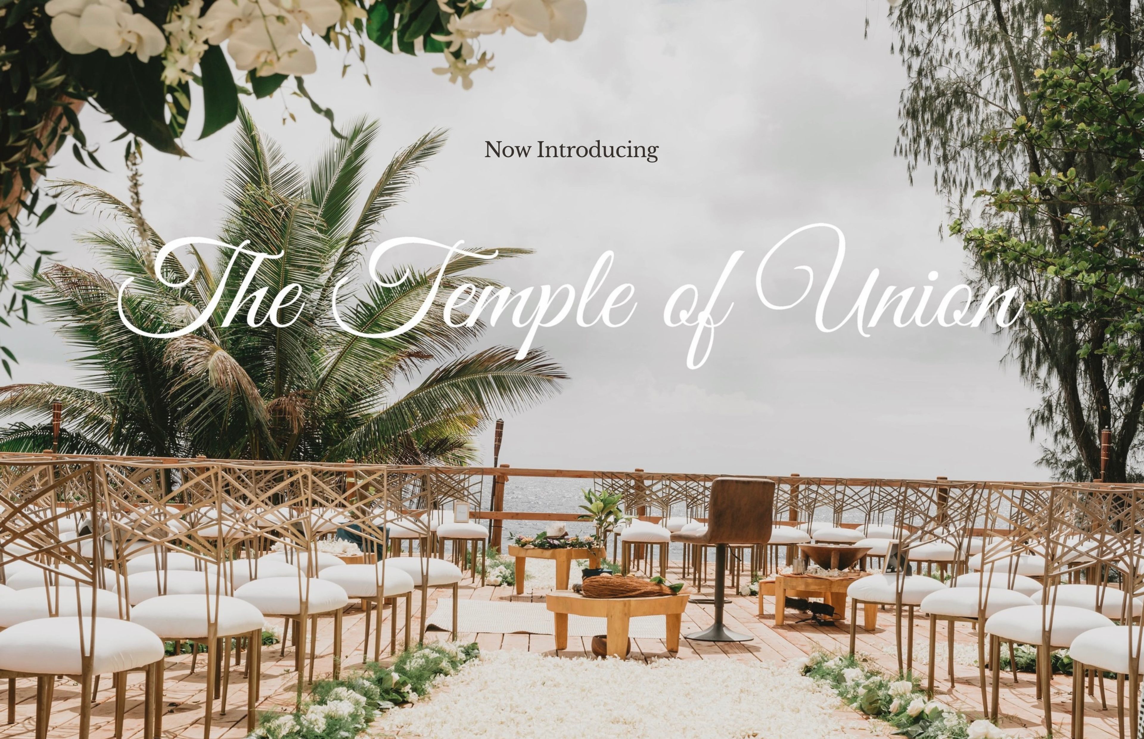 Cover photo of Eden Vibes