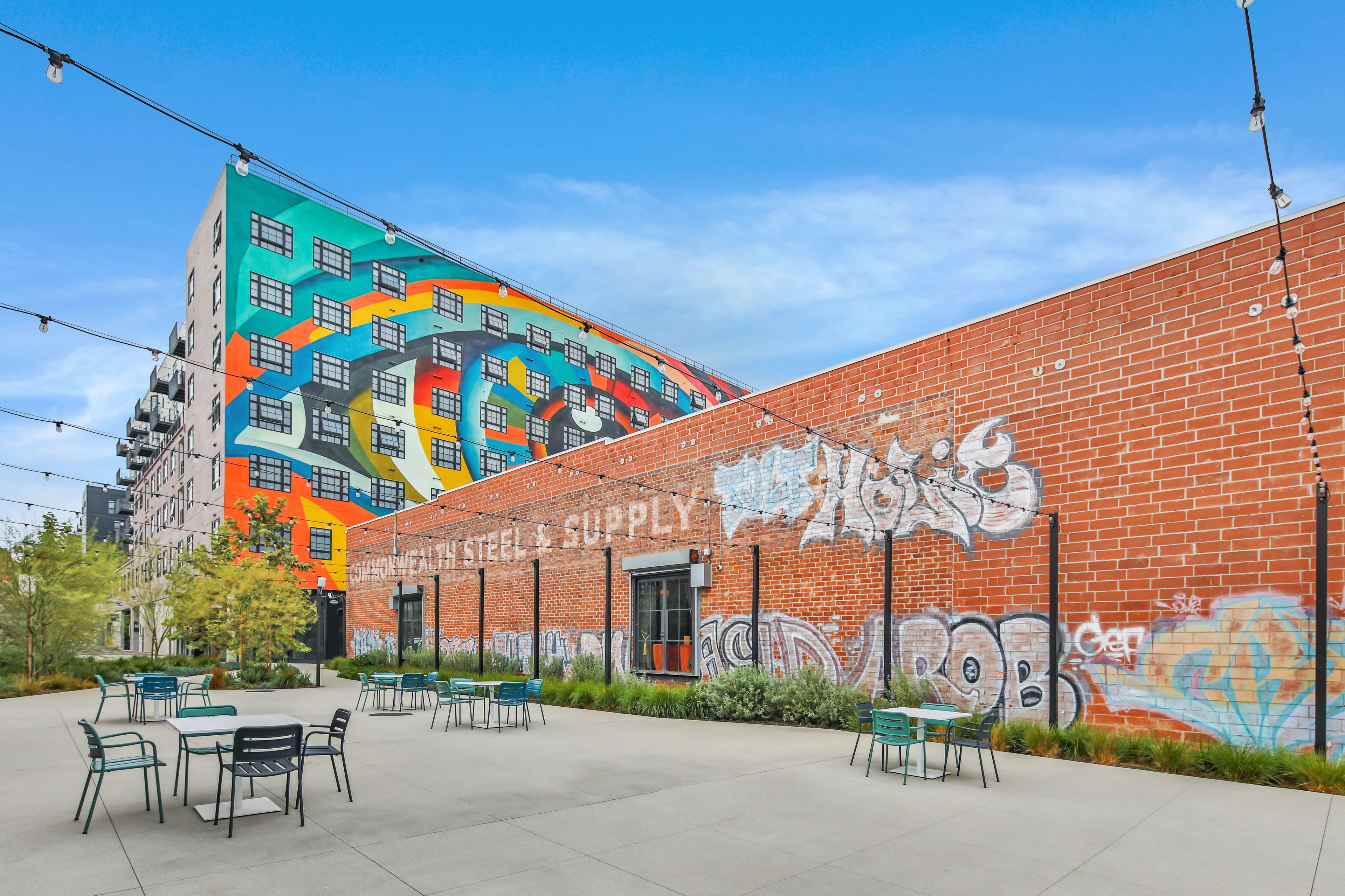 Cover photo of The Patch